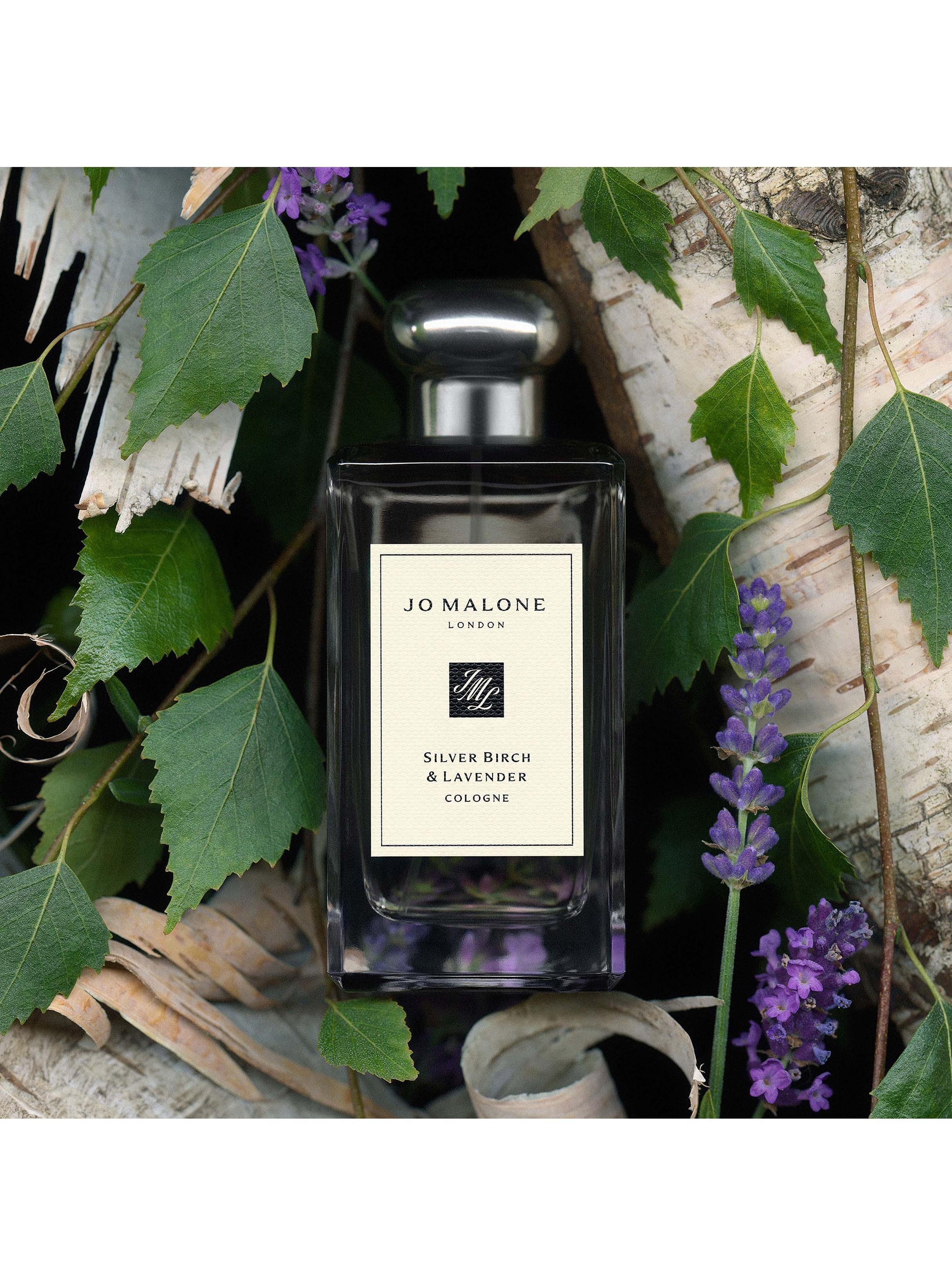 Colonia Silver Birch & Lavender EDC Unisex 100ml-2