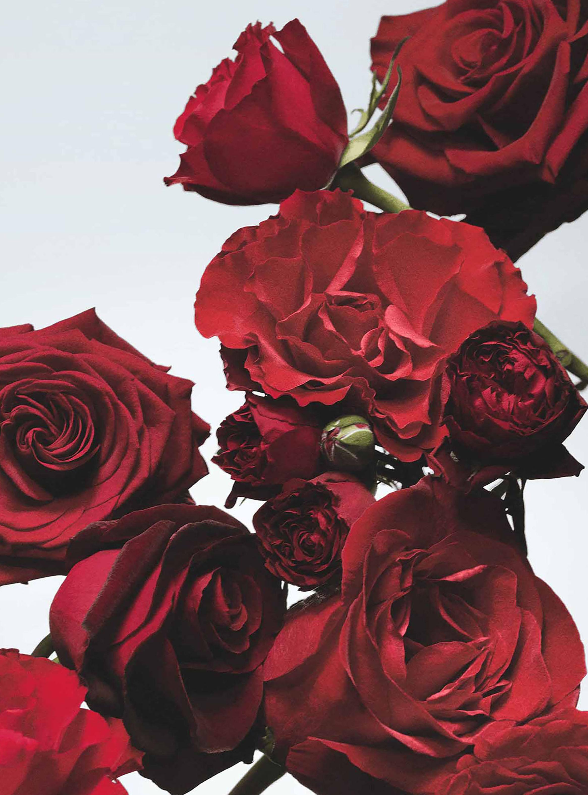 Colonia Red Roses EDC Unisex 30ml-3