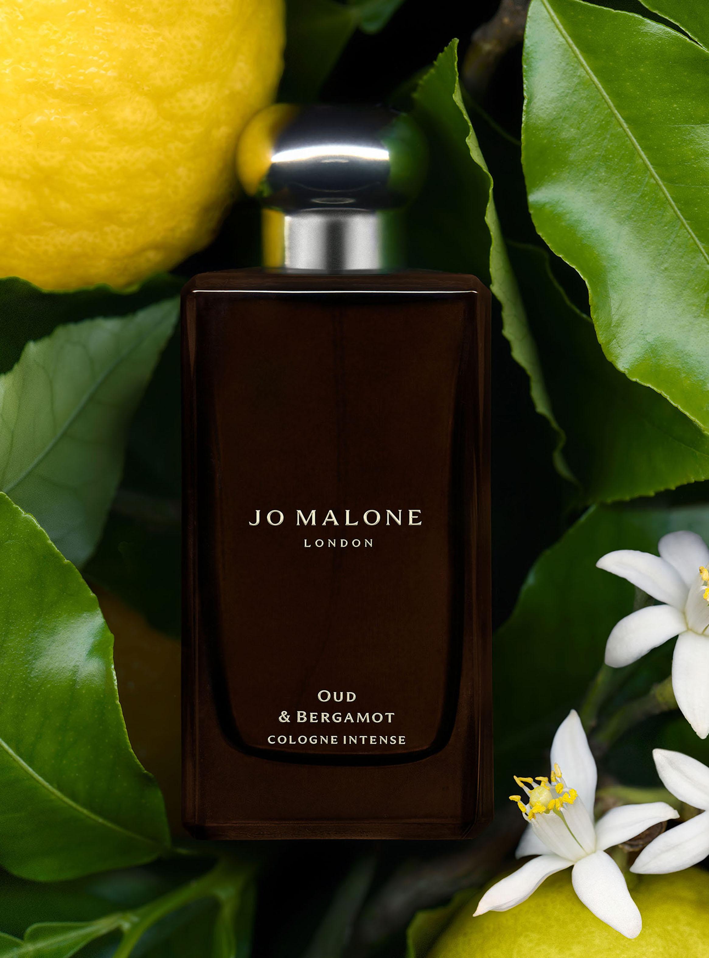 Colonia Intense Oud & Bergamot EDC Unisex 100ml-2