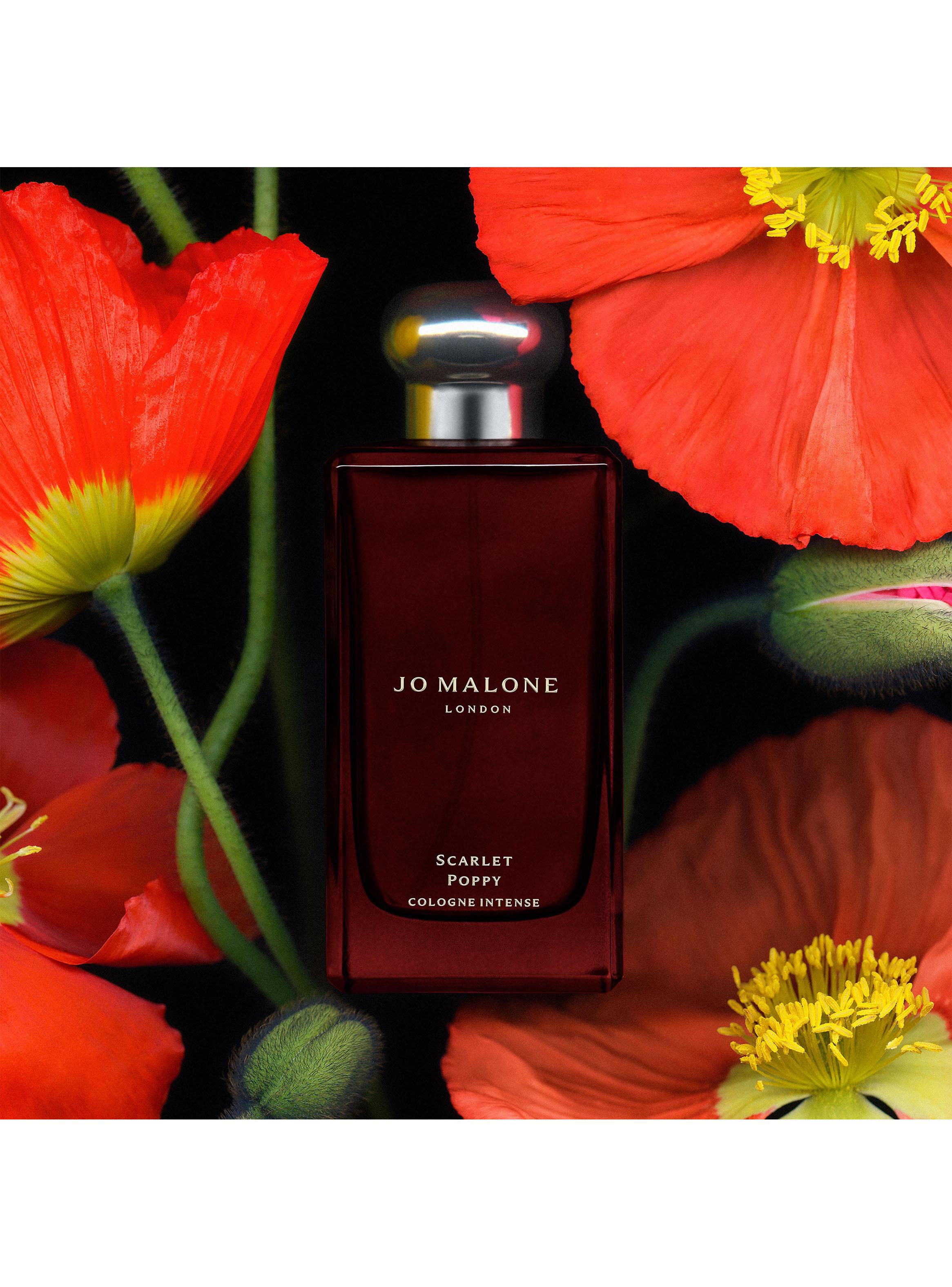 Colonia Intense Scarlet Poppy EDC Unisex 100ml-3