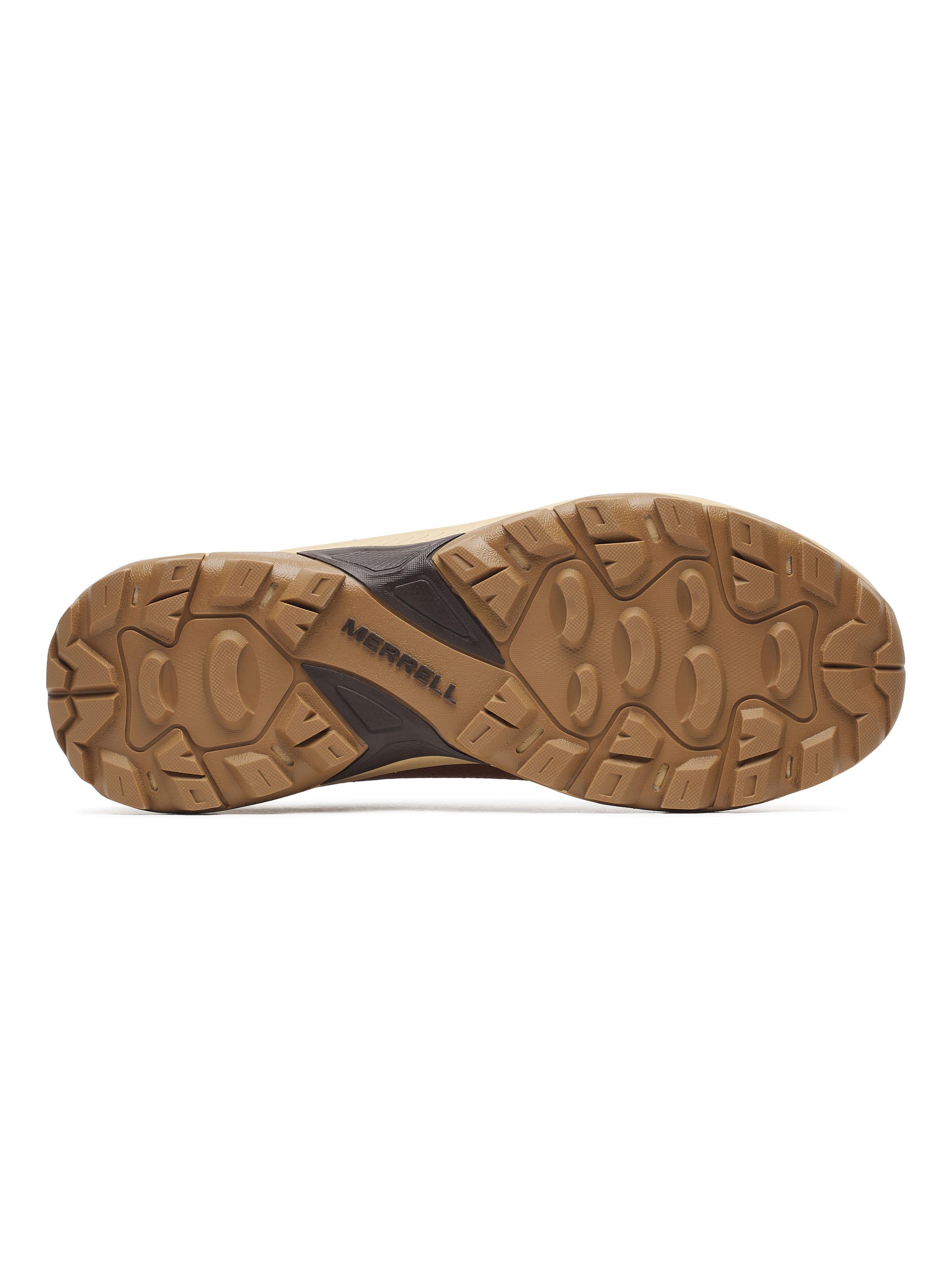 Zapatilla Running HombreTempo Sol-5