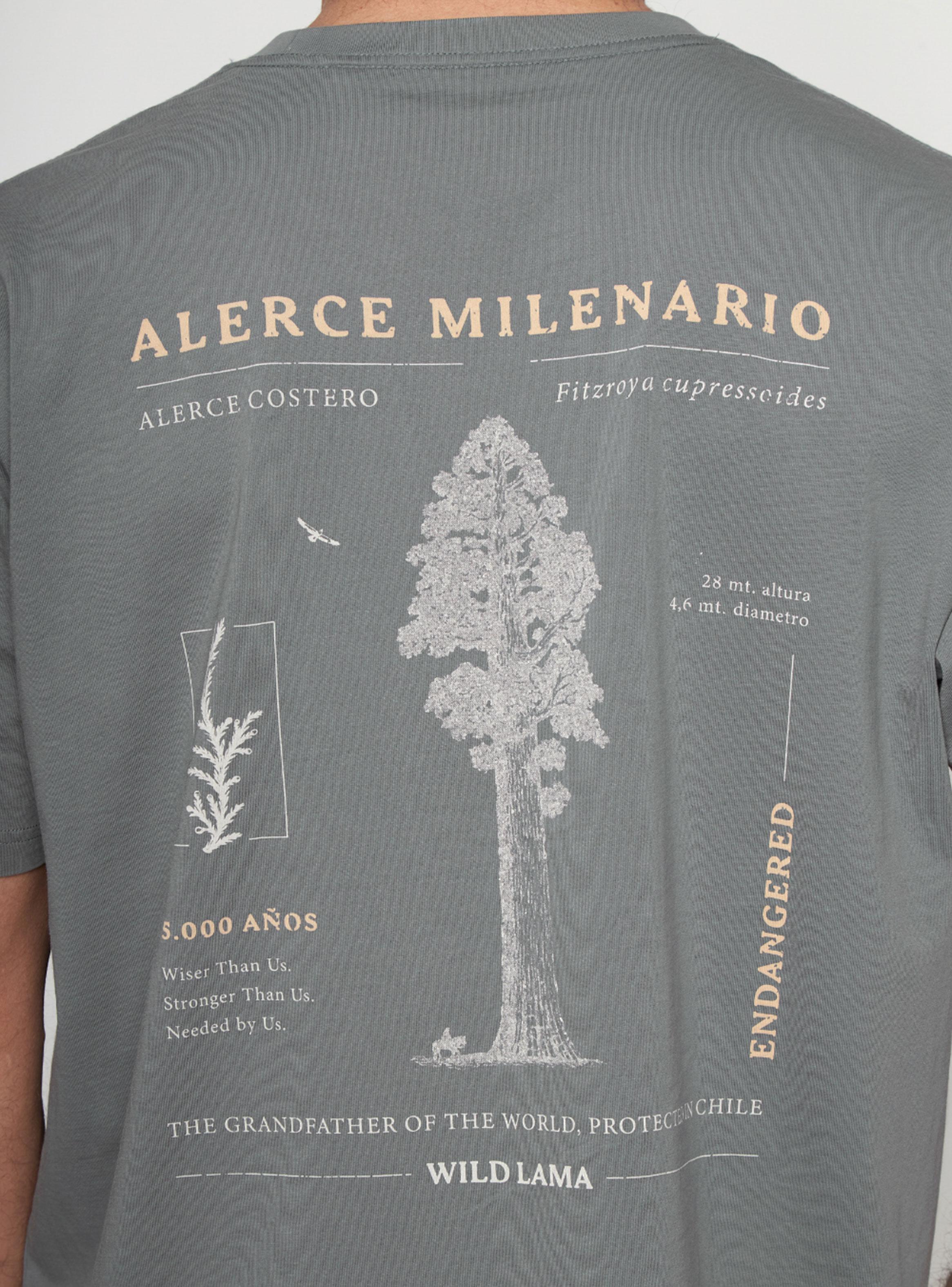 Polera Modelo Rolan-3
