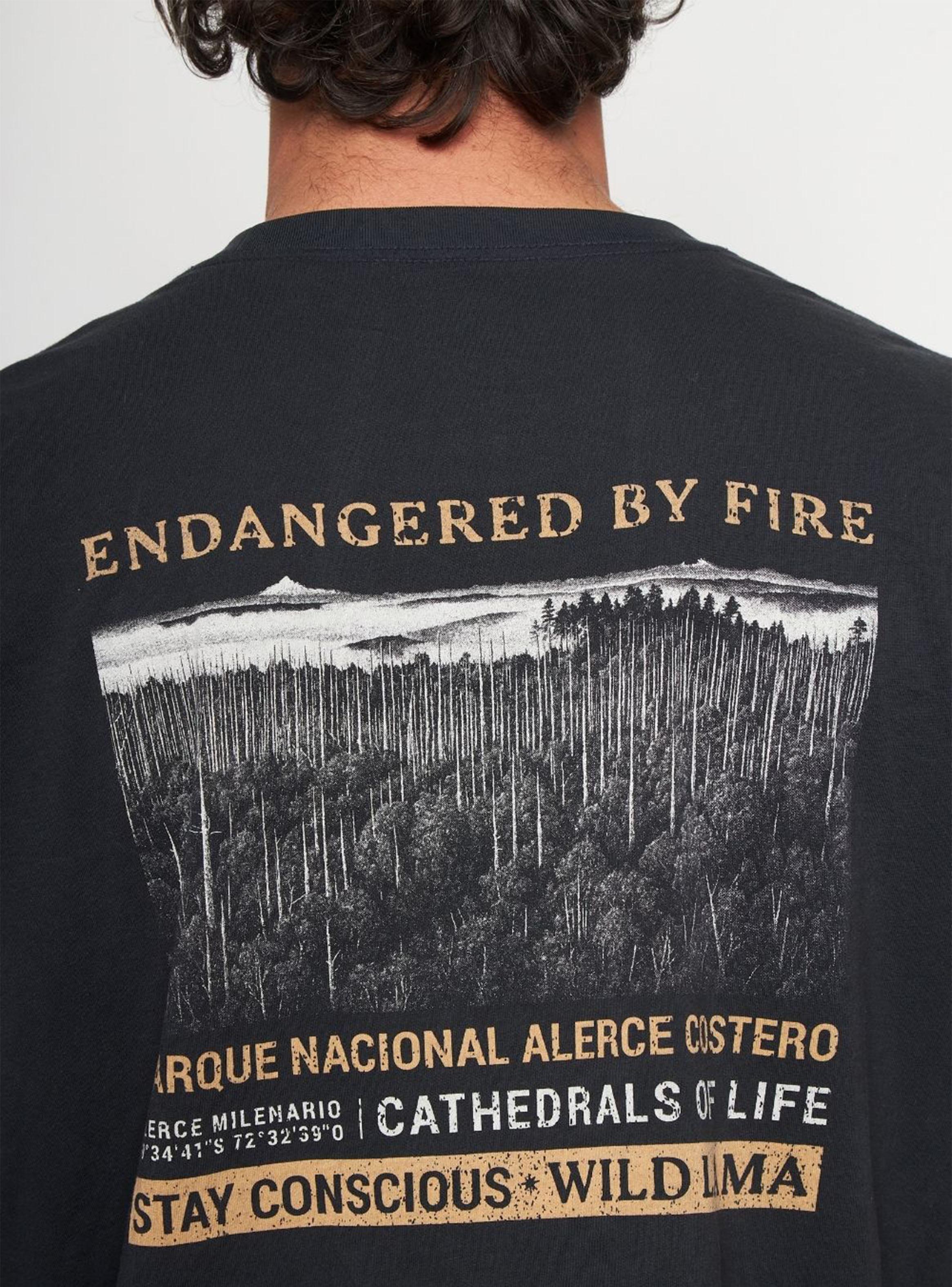 Polera Rolan-3