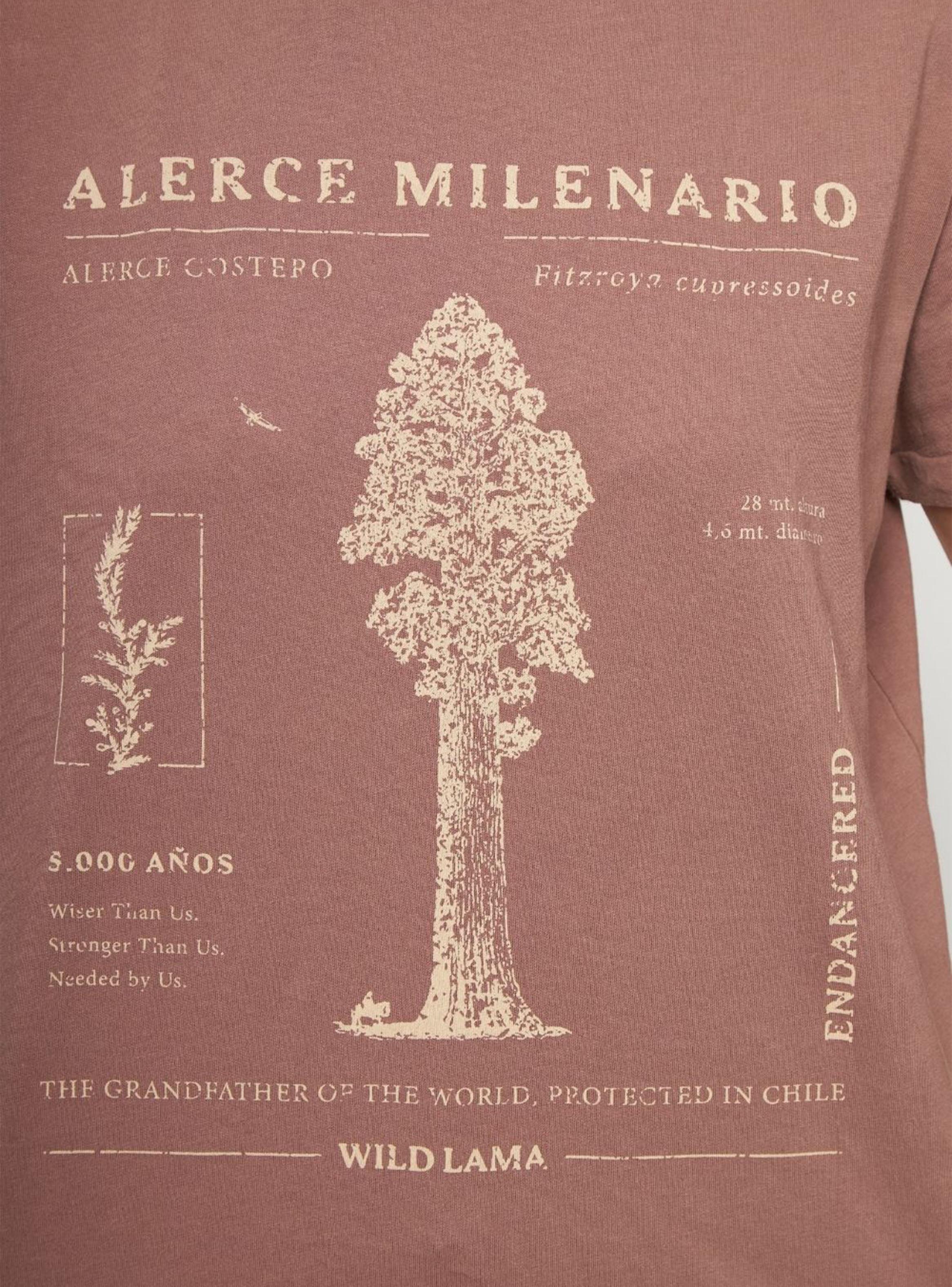 Polera Mira Rosado-3