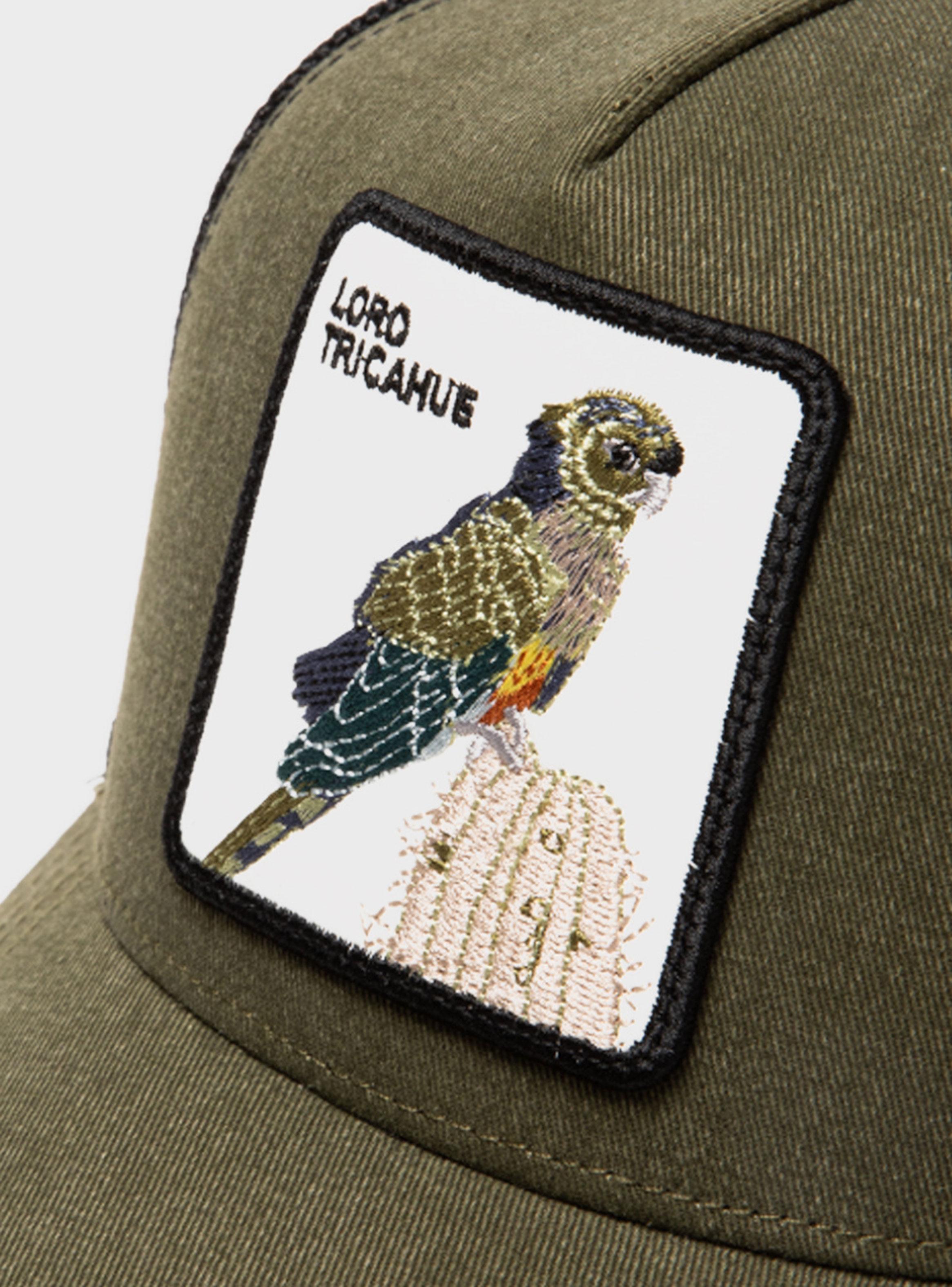 Jockey Animal Loro Tricahue-3