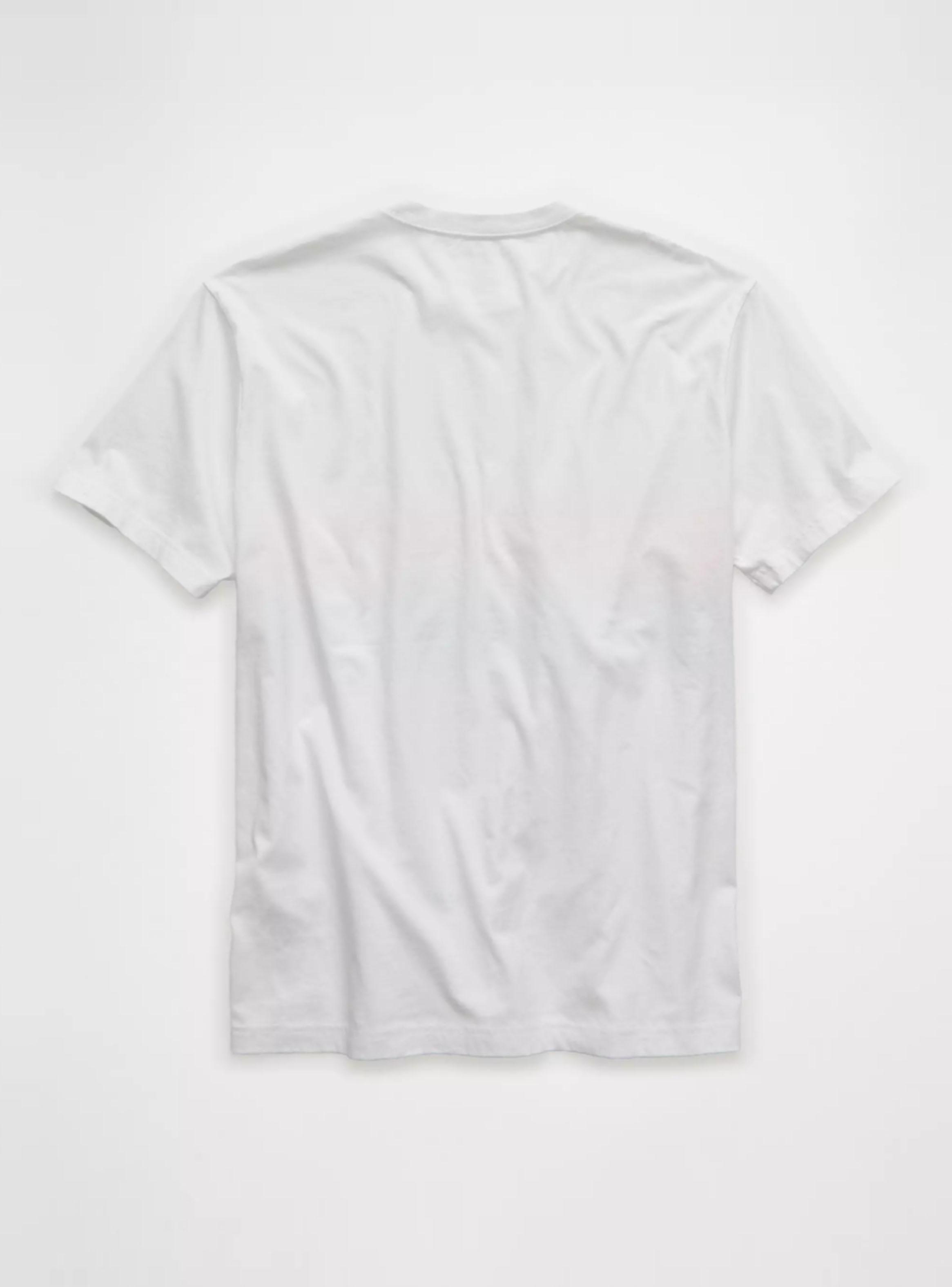 Polera AE Logotipo Palmeras-4