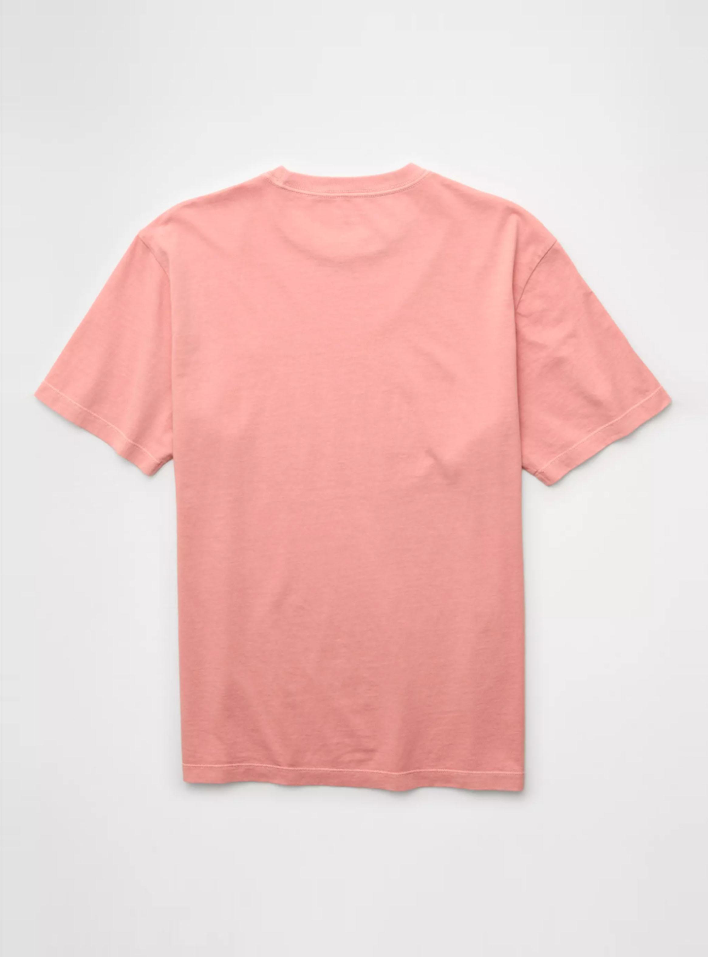 Polera AE Logo Lived-In-3