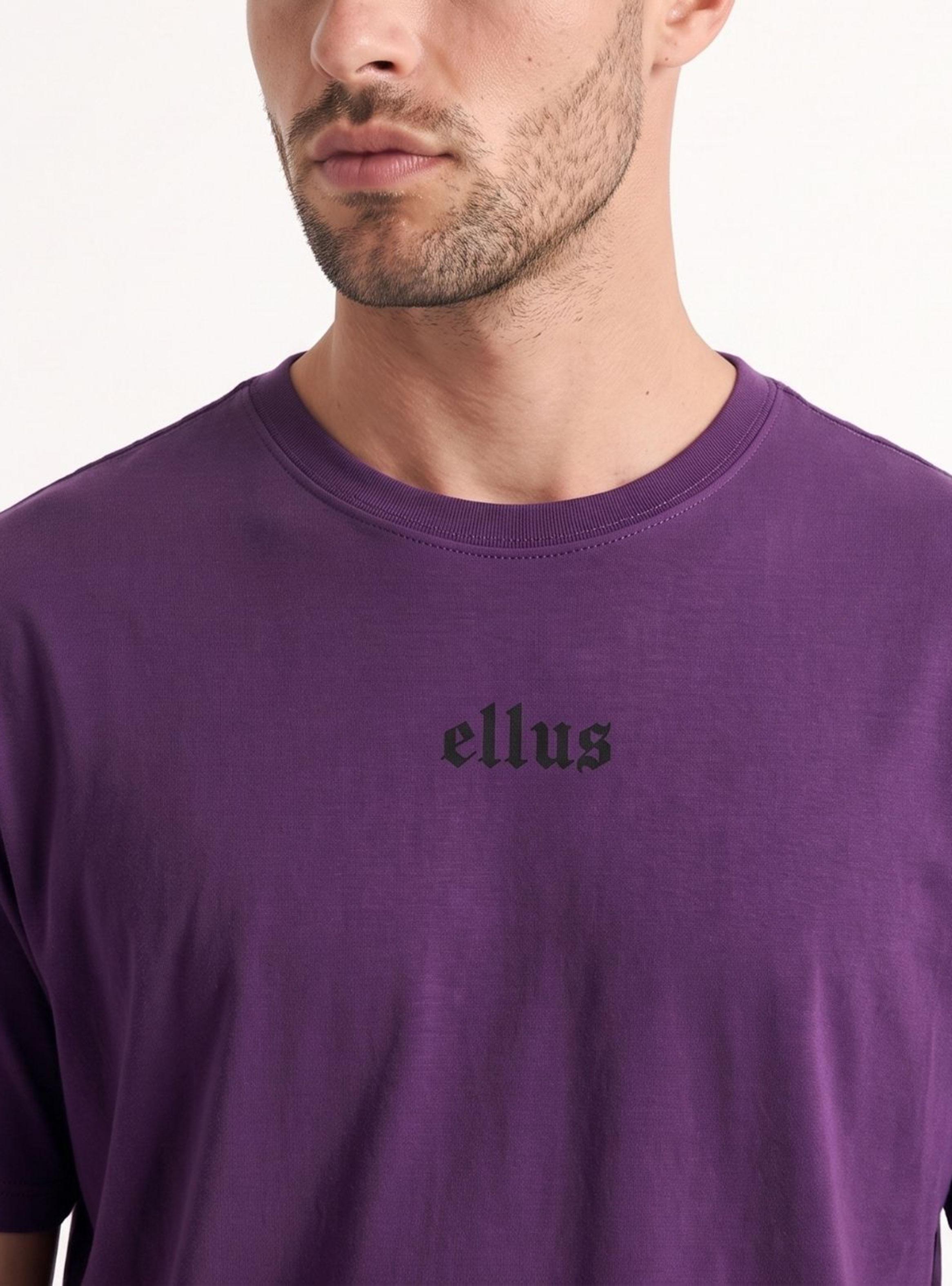 Polera Lisa Regular Fit Silicone Wash + Pespunte Contraste-3