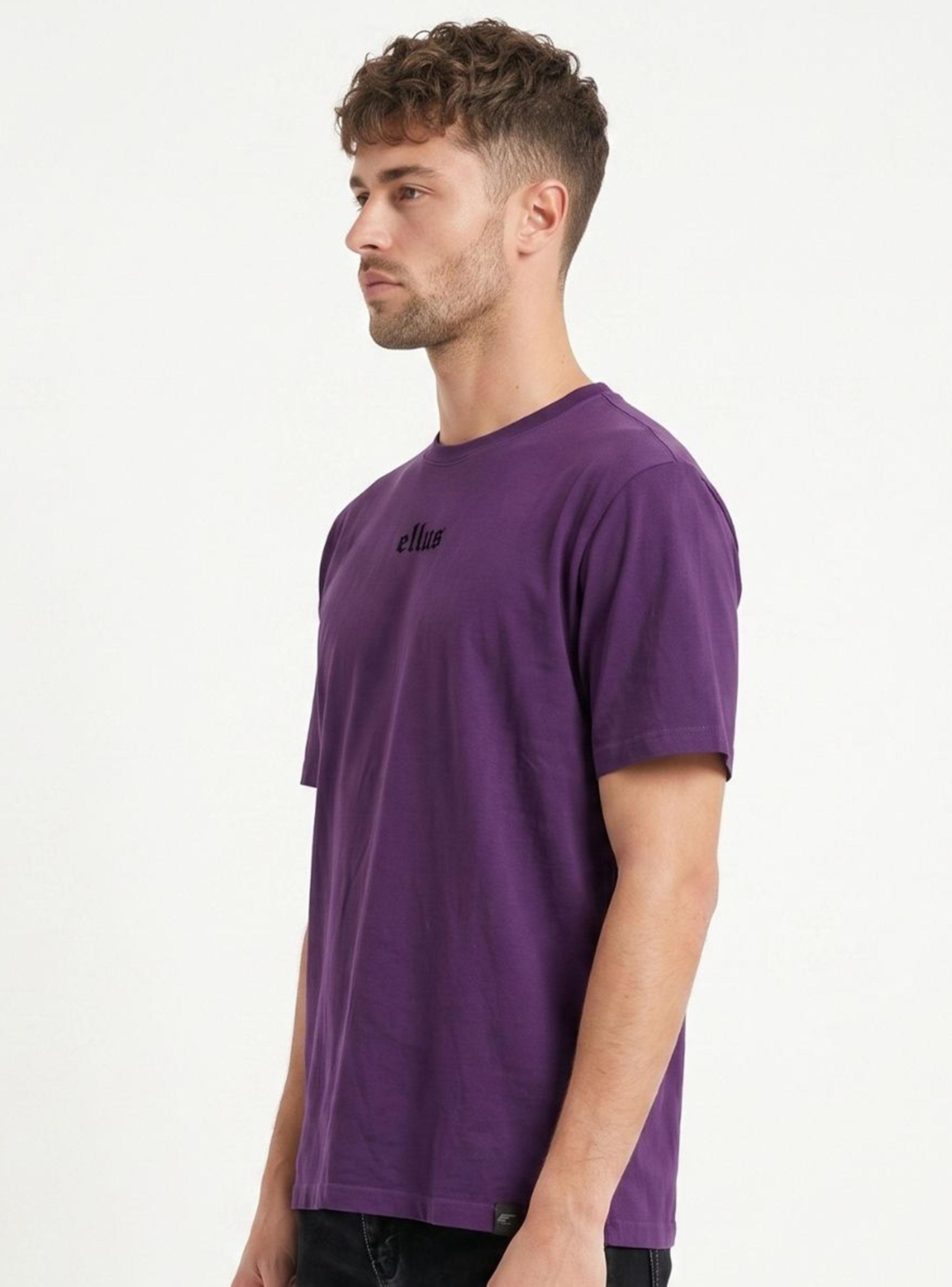 Polera Lisa Regular Fit Silicone Wash + Pespunte Contraste-2