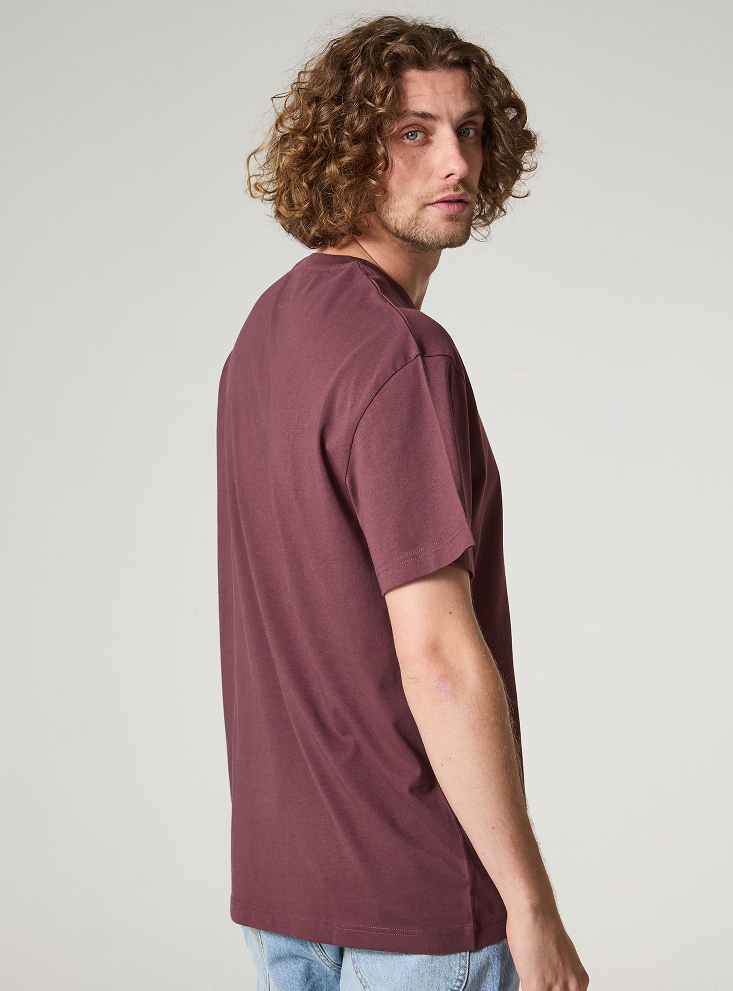 Polera Algodón Regular Cuello Redondo-1