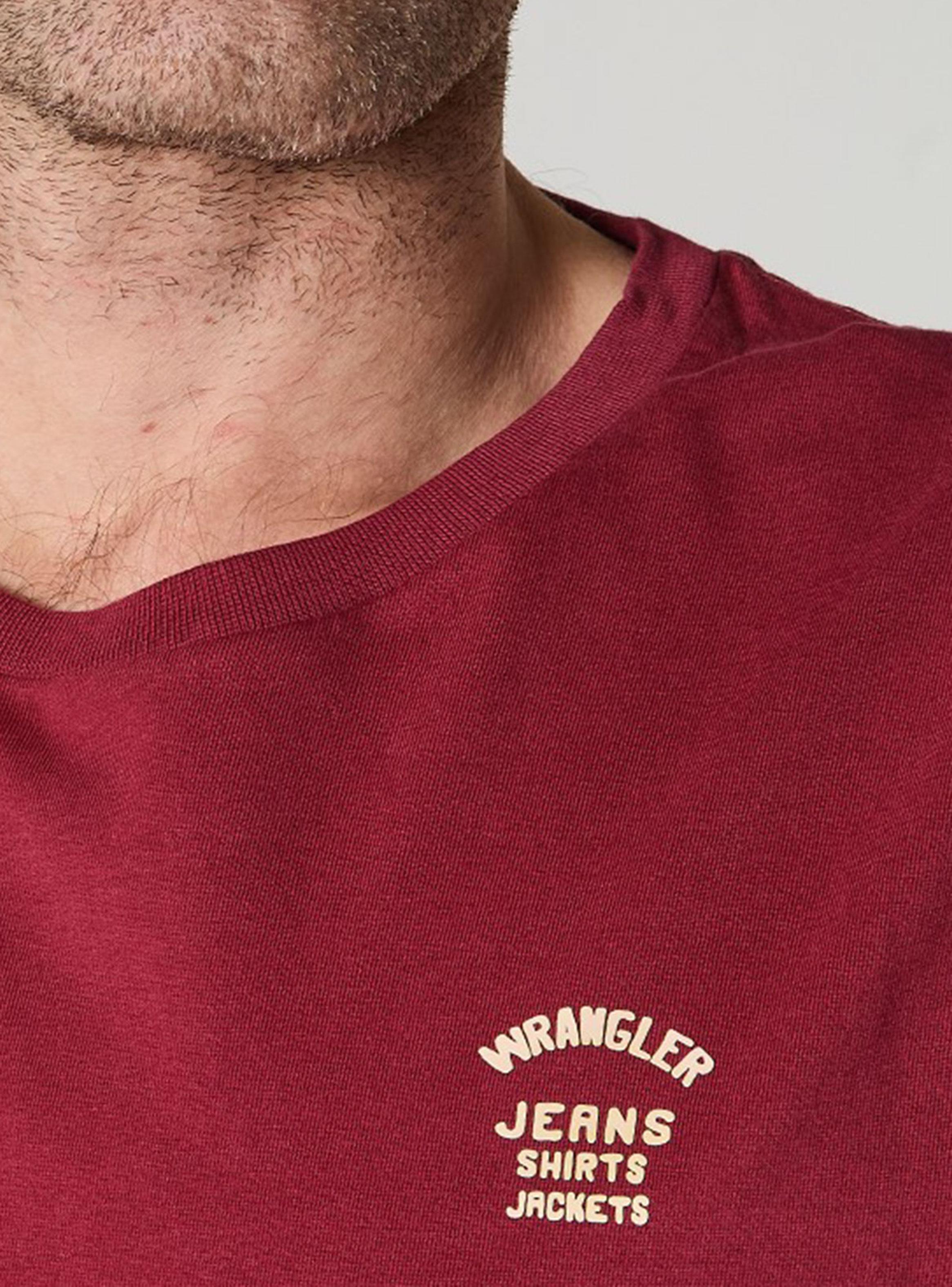 Polera Lisa con Logo Regular Manga Corta-2
