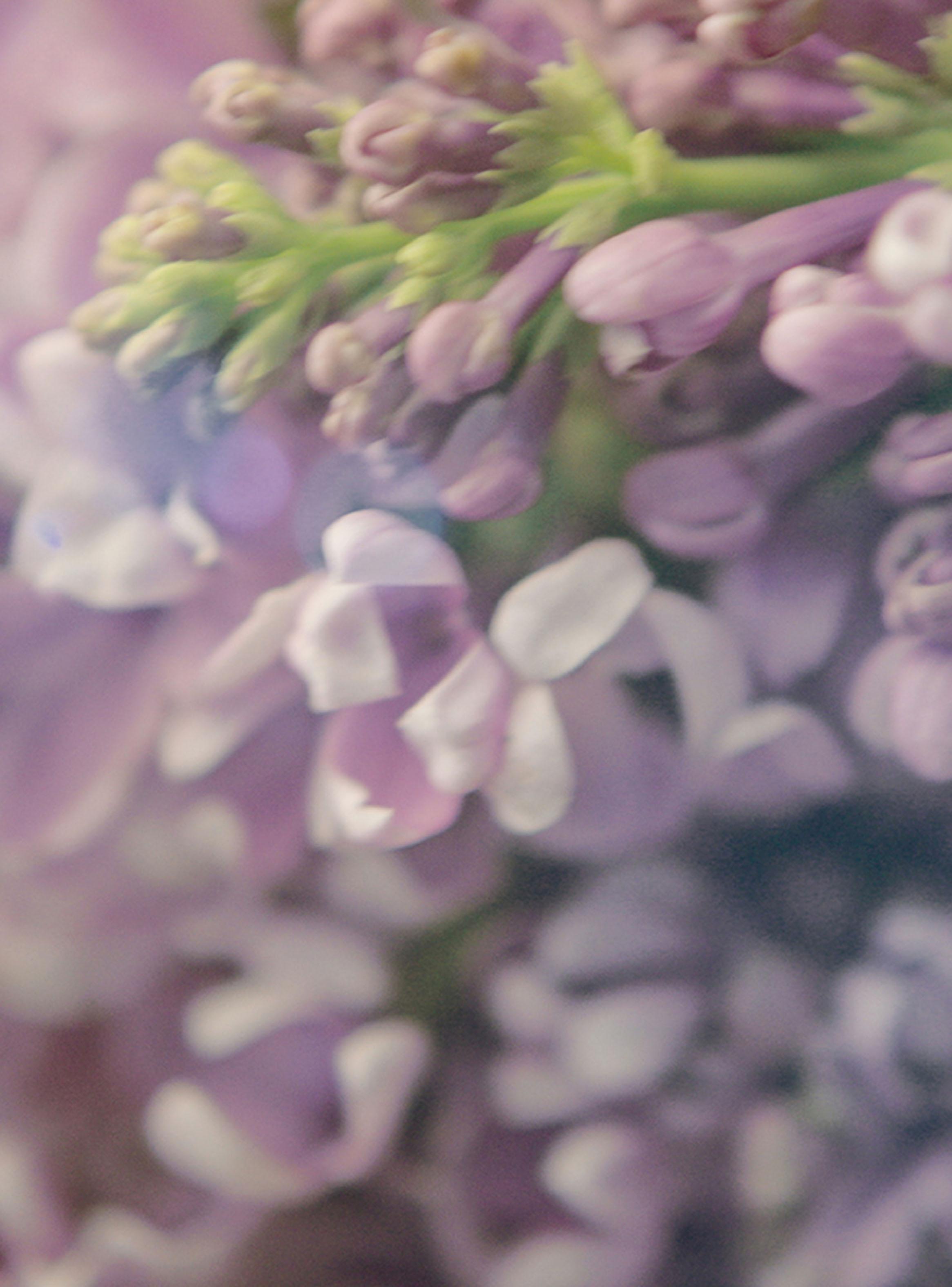 Perfume Gucci Guilty Revoluc EDP Mujer 90 ml-5