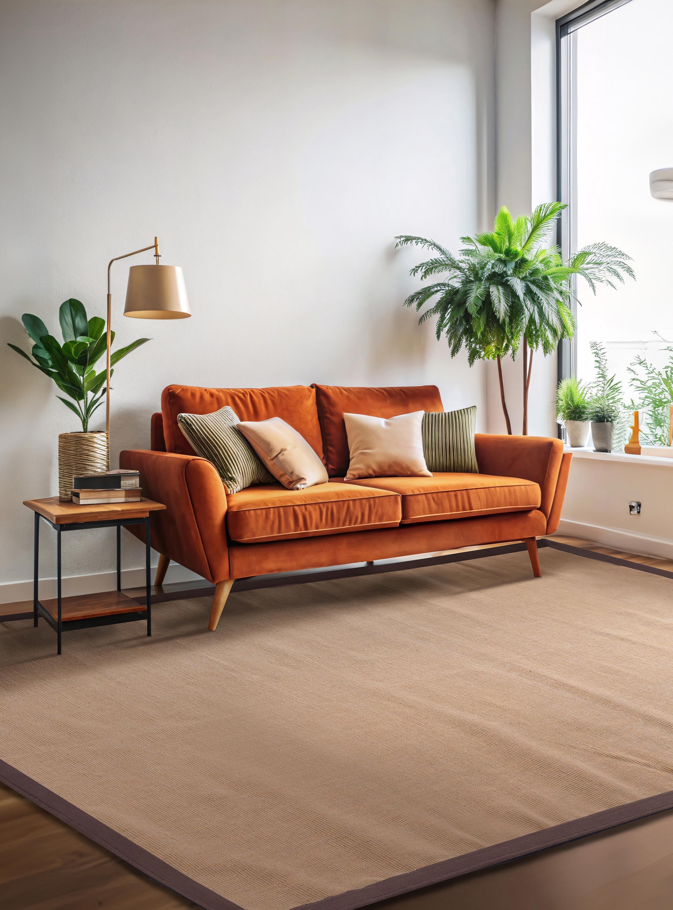Alfombra Yute 160 x 230 cm Border Café-4