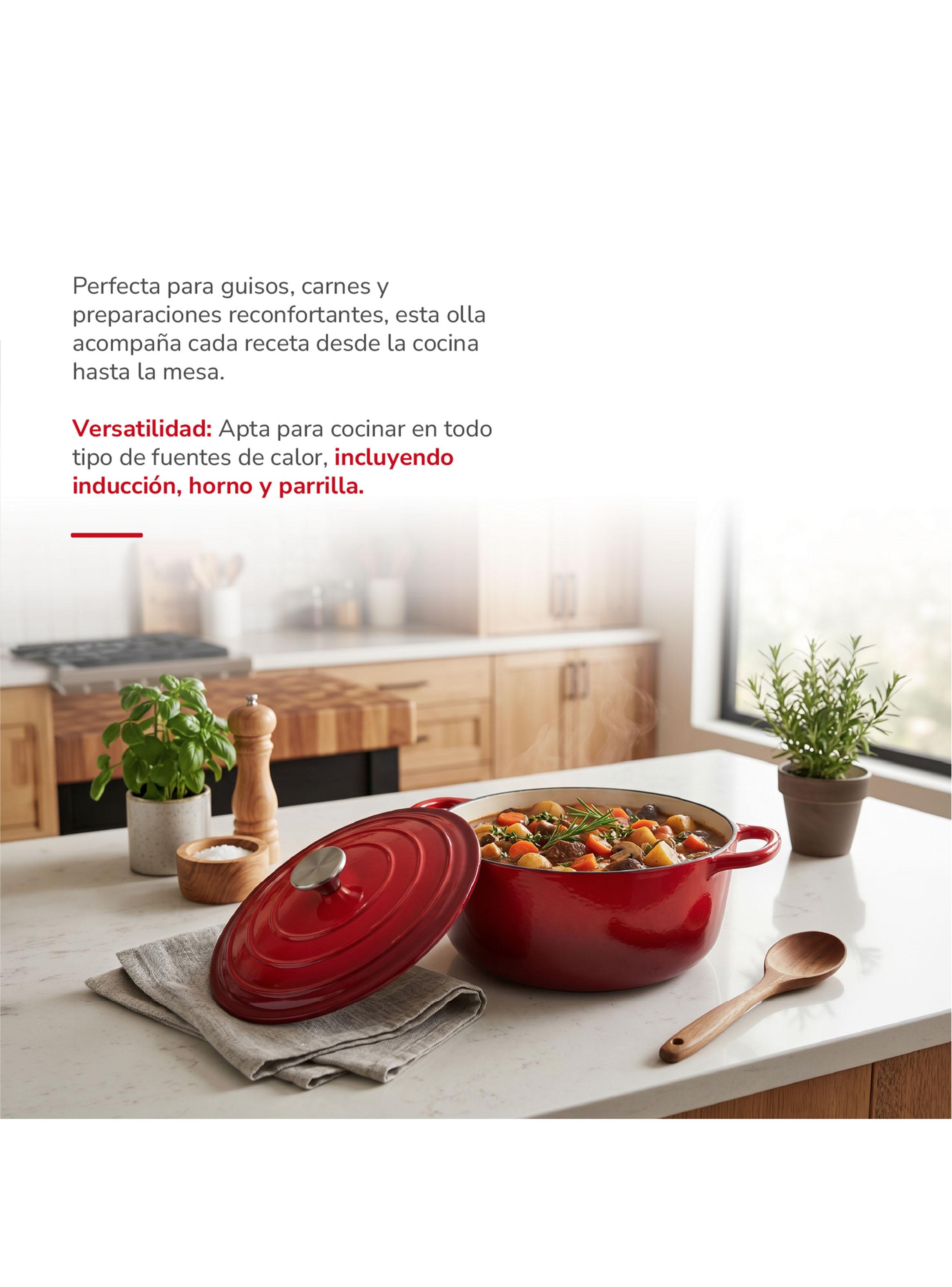 Olla Hierro Fundido 24 cm TH-MCA24R-2