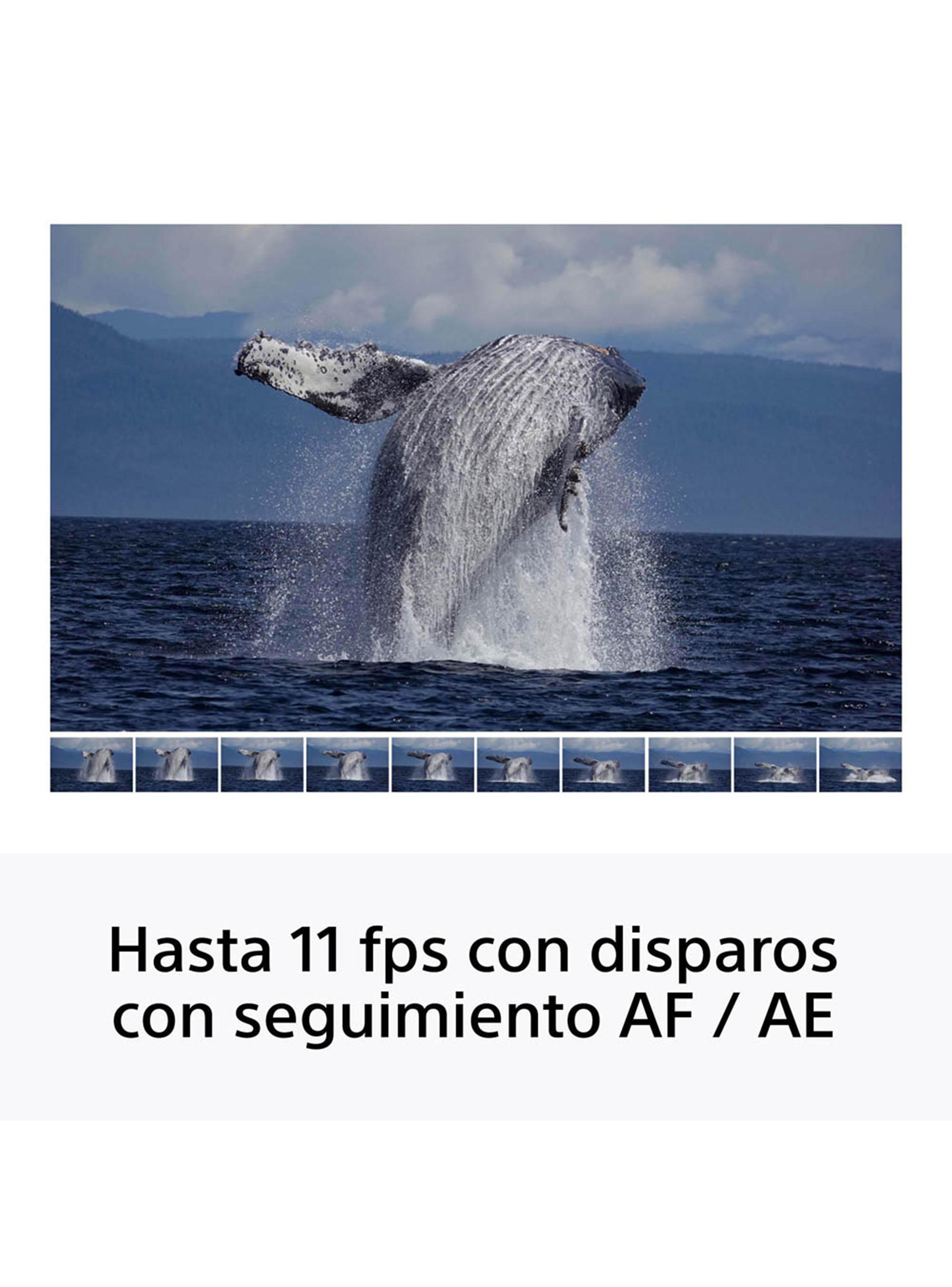Cámara Profesional Digital Mirrorless APS-C ILCE-6100K + Lente SELP16502-6