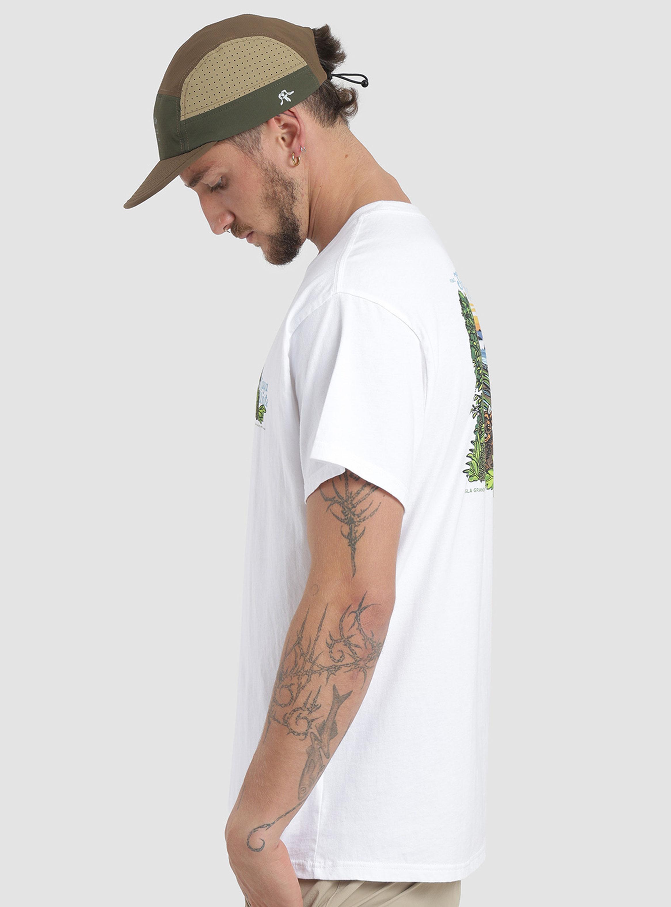 Polera Print Parque Manga Corta Cuello Redondo-2