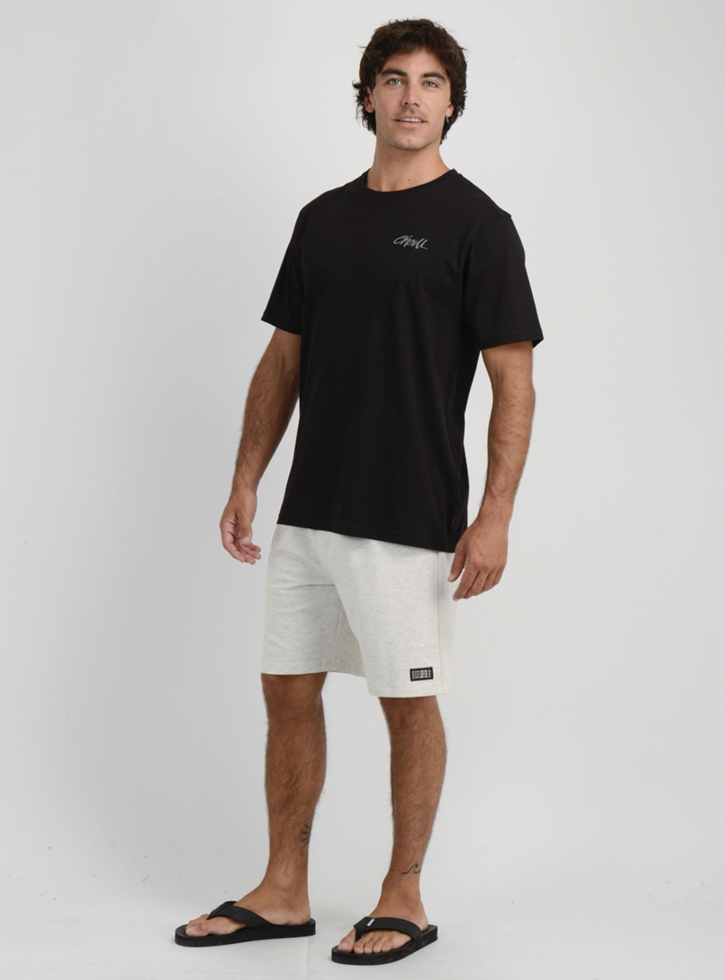 Polera Manga Corta Estampado Algodón Regular-5