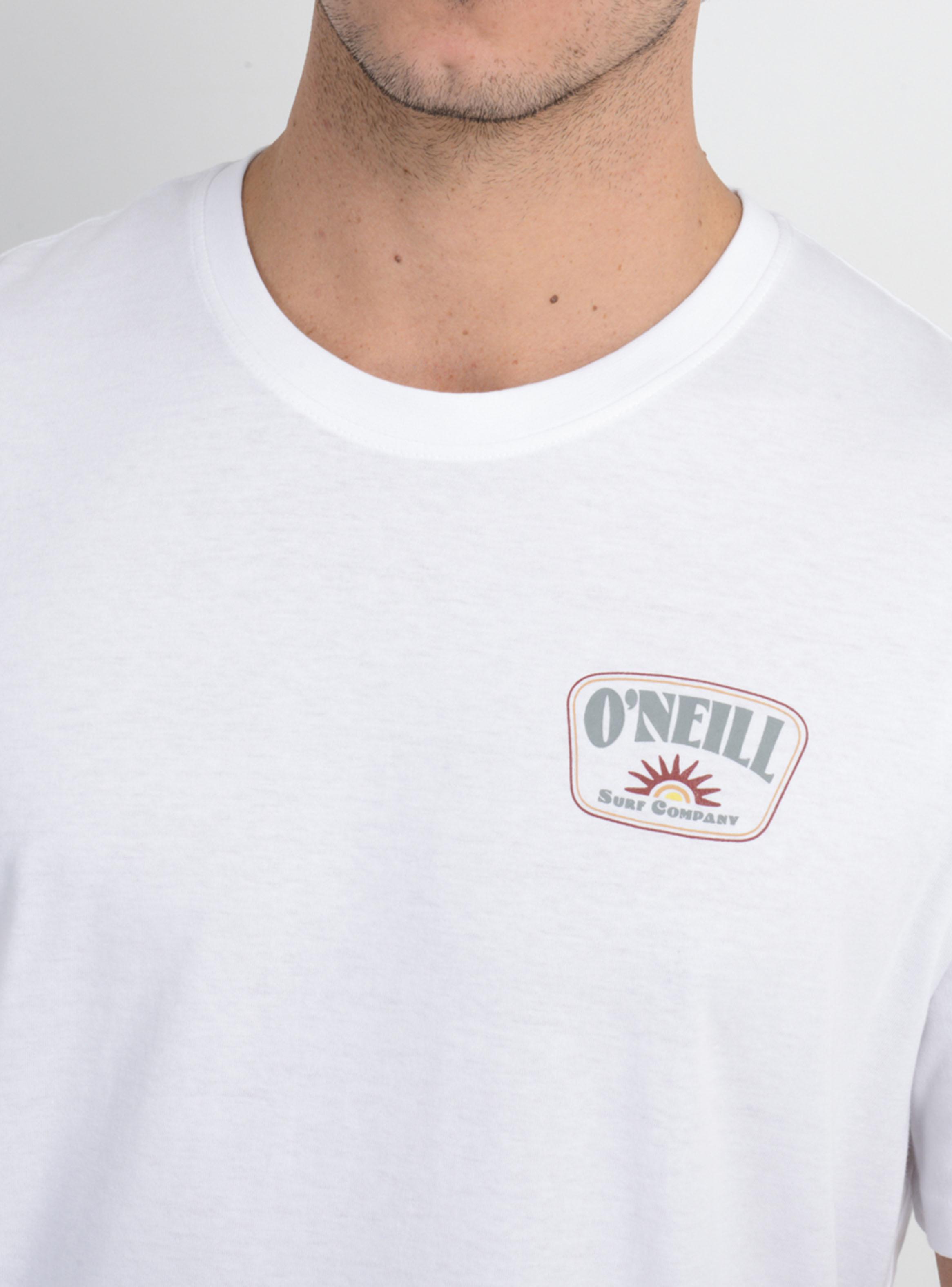 Pack 2 Poleras Logo Estampado-2