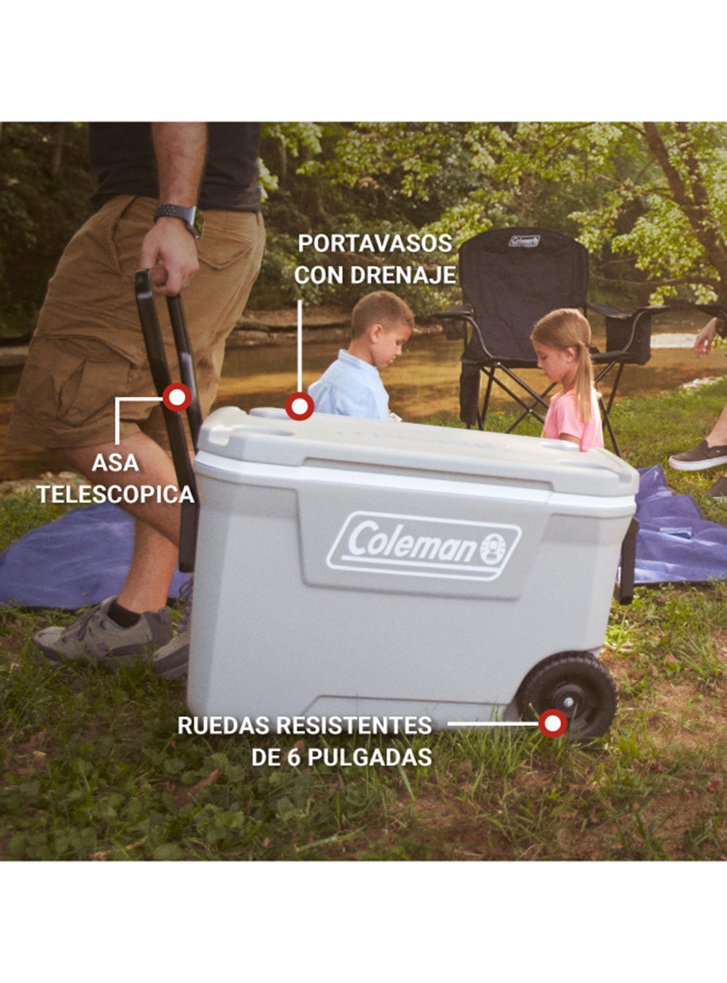 Cooler Chiller con Ruedas Serie 316 59 Litros Gris-2