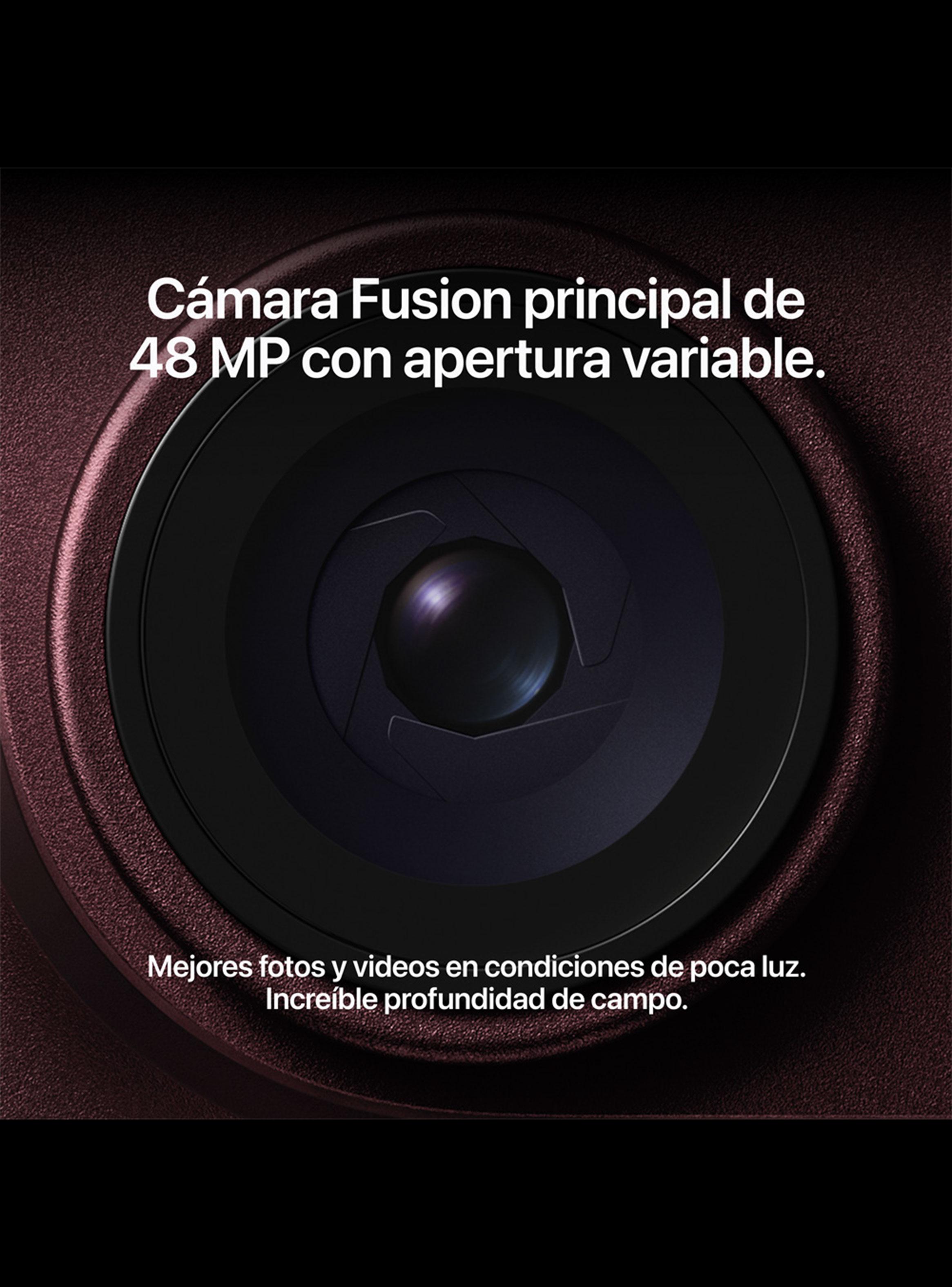 iPhone 18 Pro Max 256GB Burdeo Liberado-4