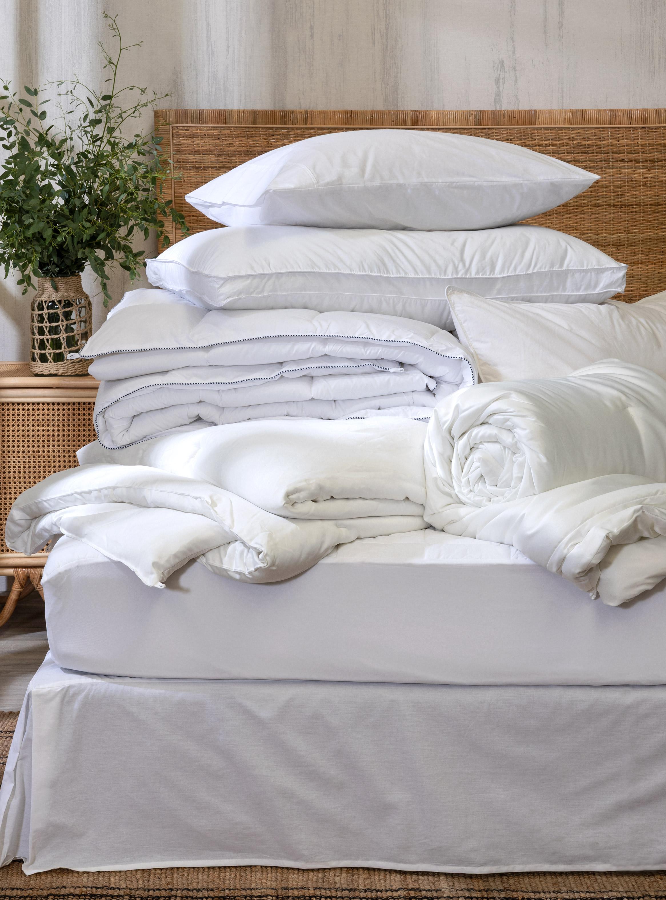 Funda de Almohada 200 Hilos 50 x 95 cm-4