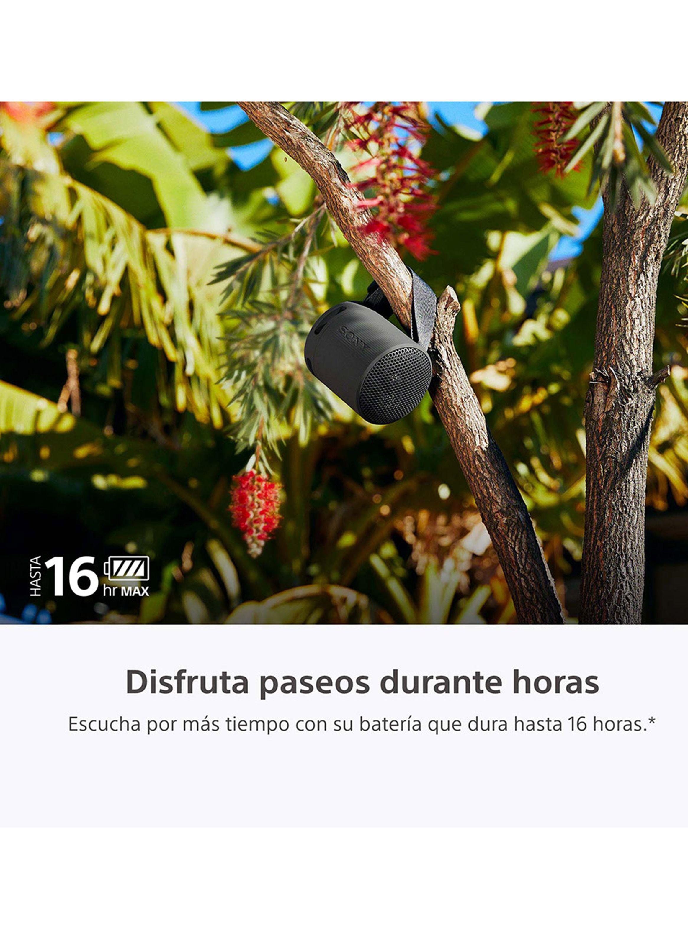 Parlante Bluetooth Portátil XB100 Negro-5