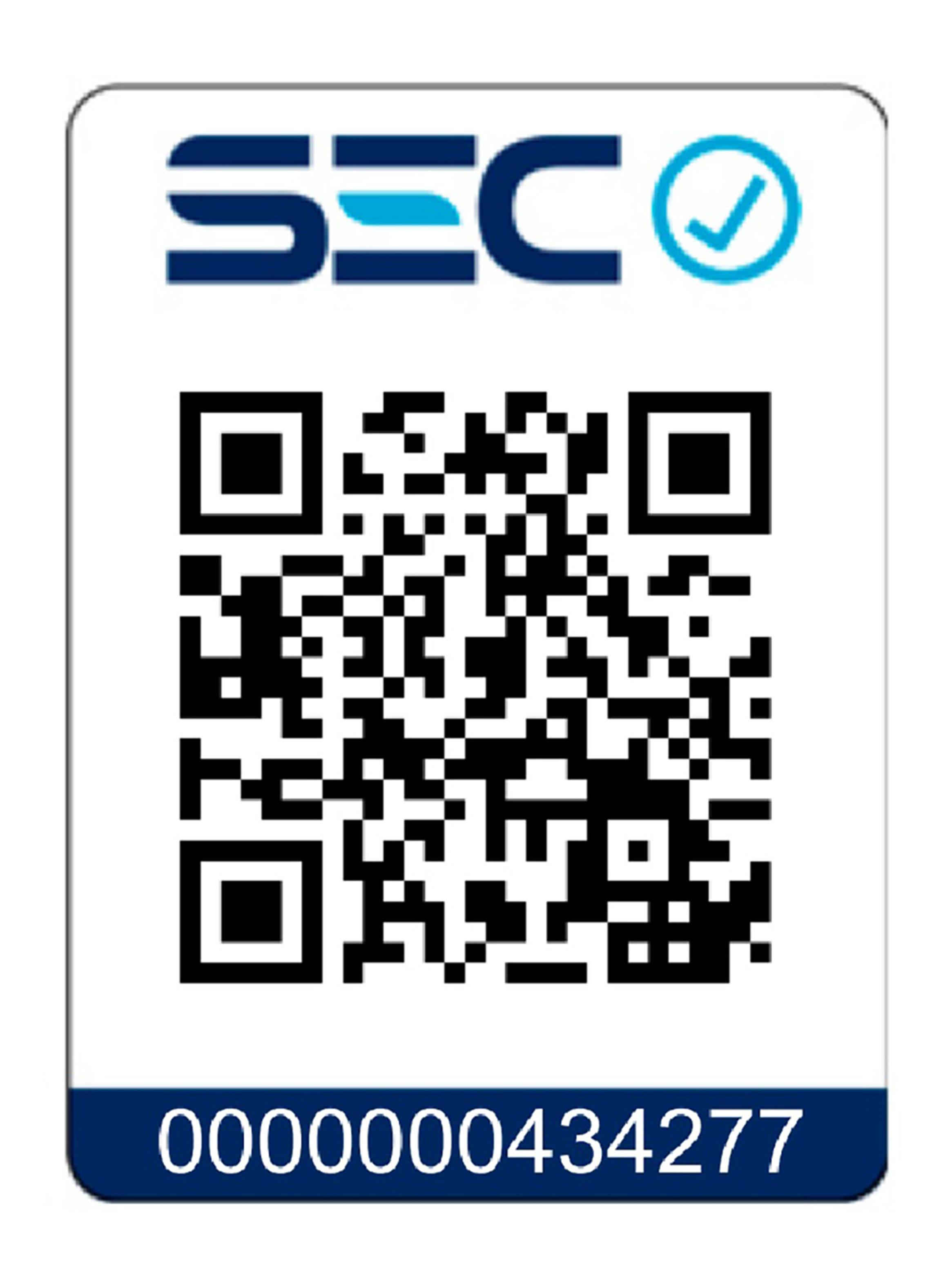 Lavadora-Secadora Bespoke 14/9 Kg con Inteligencia Artificial en EcoBubble WD14BB904DGBZS-10