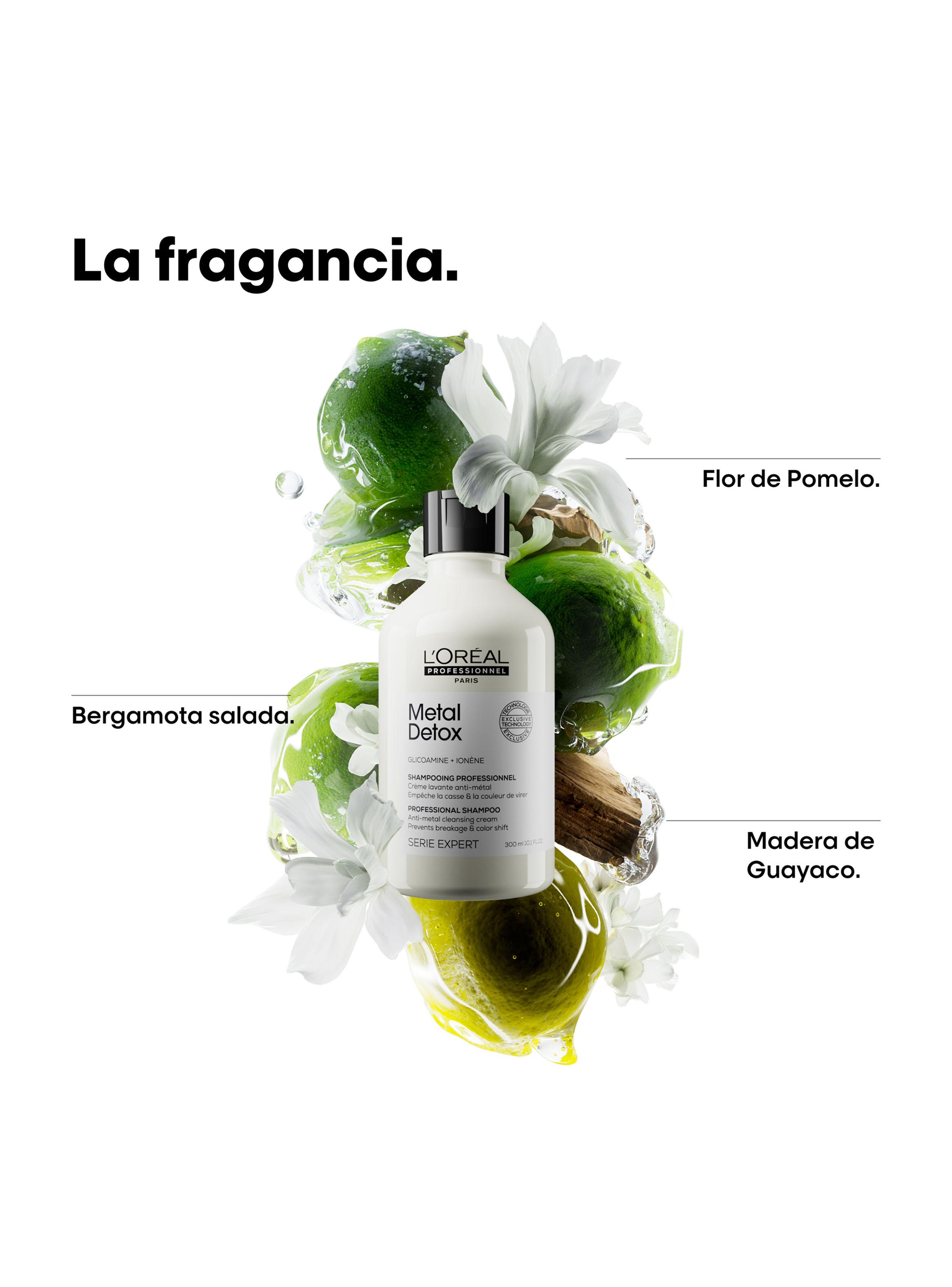 Shampoo Anti-Quiebre Metal Detox 300ml L'Oréal Professionnel-2