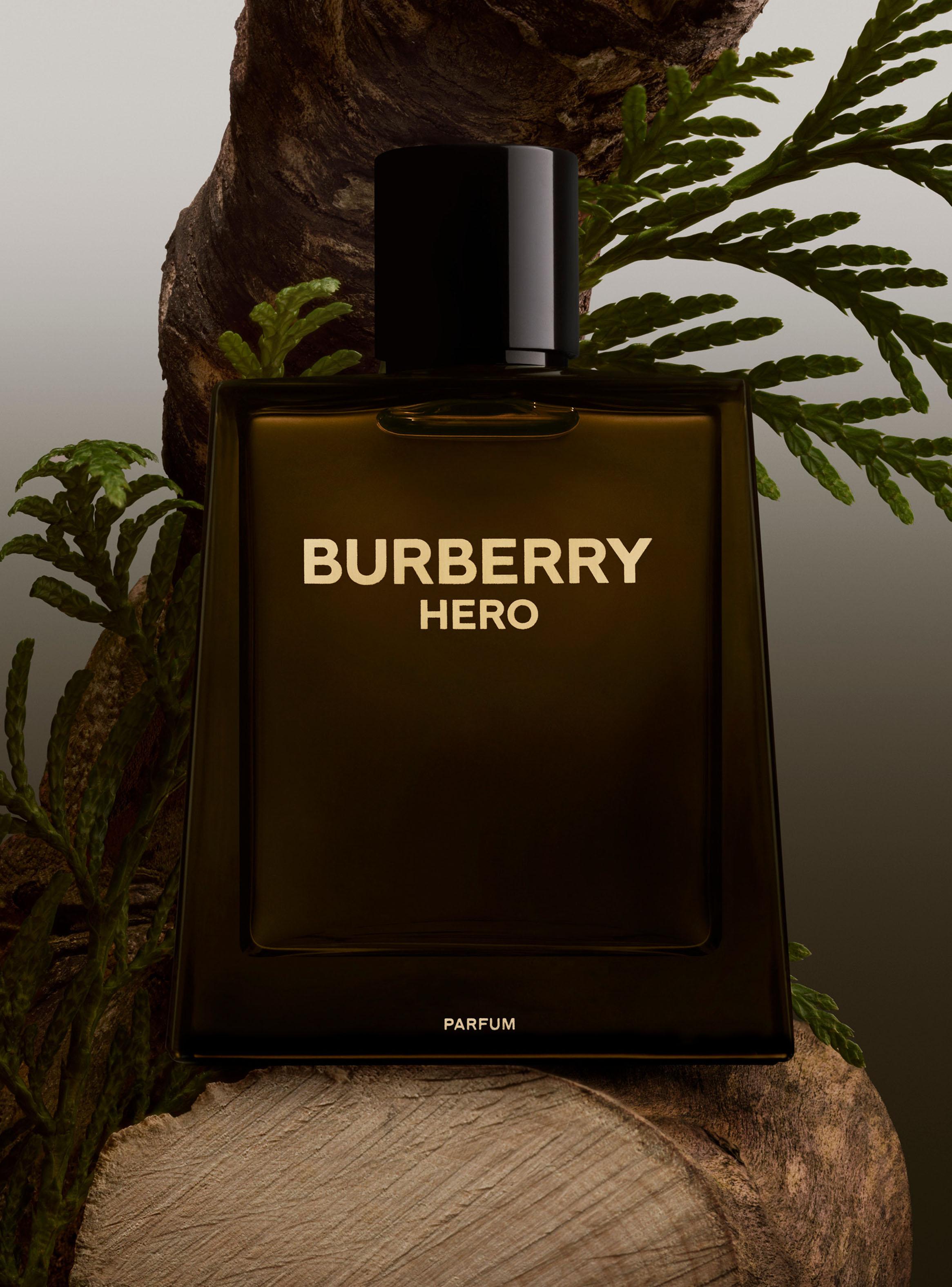 Perfume Hero Parfum Hombre 100 ml-2