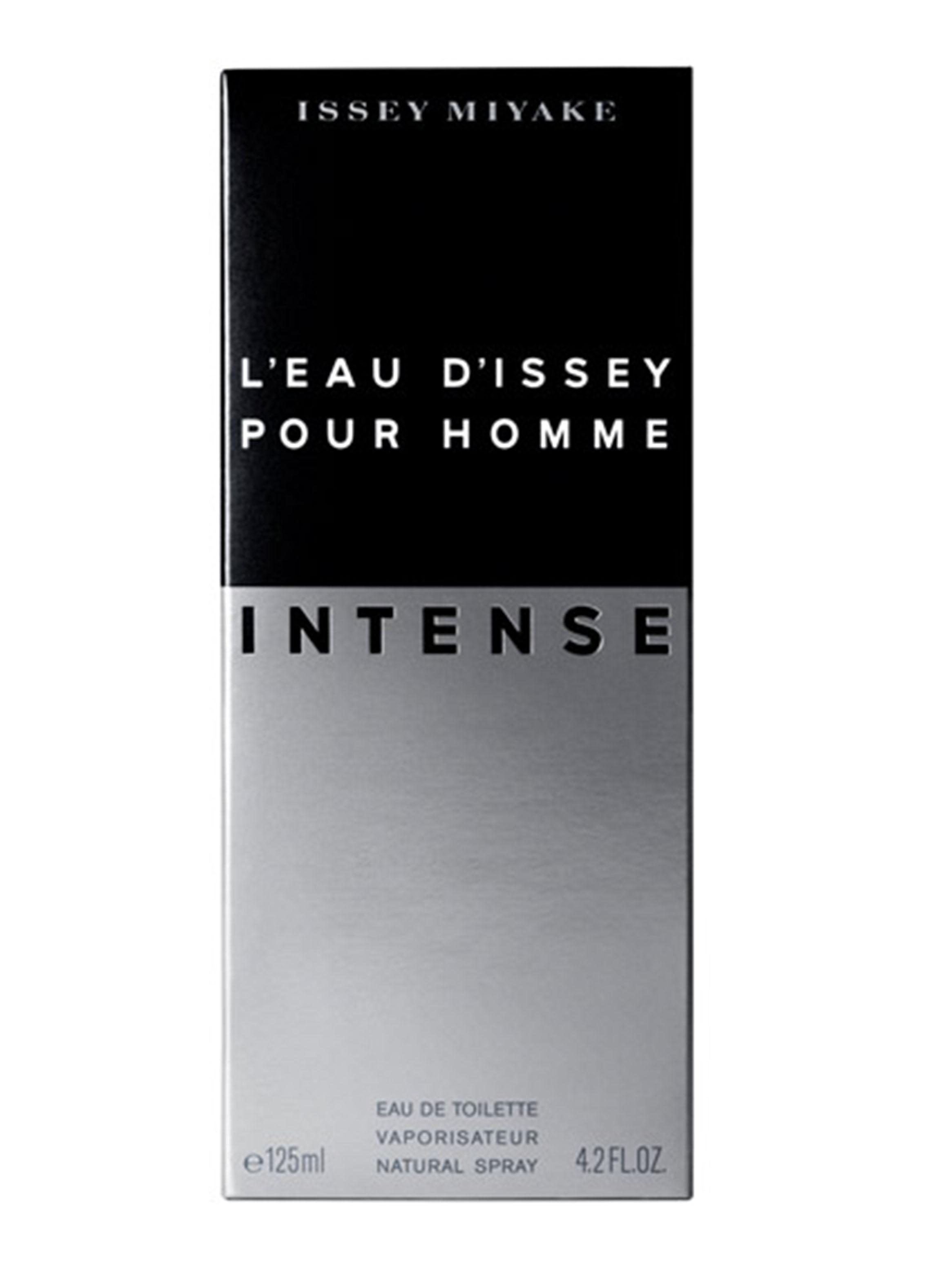 Perfume Issey Miyake Im L'Eau D'Issey Pour Homme EDT 125 ml-2