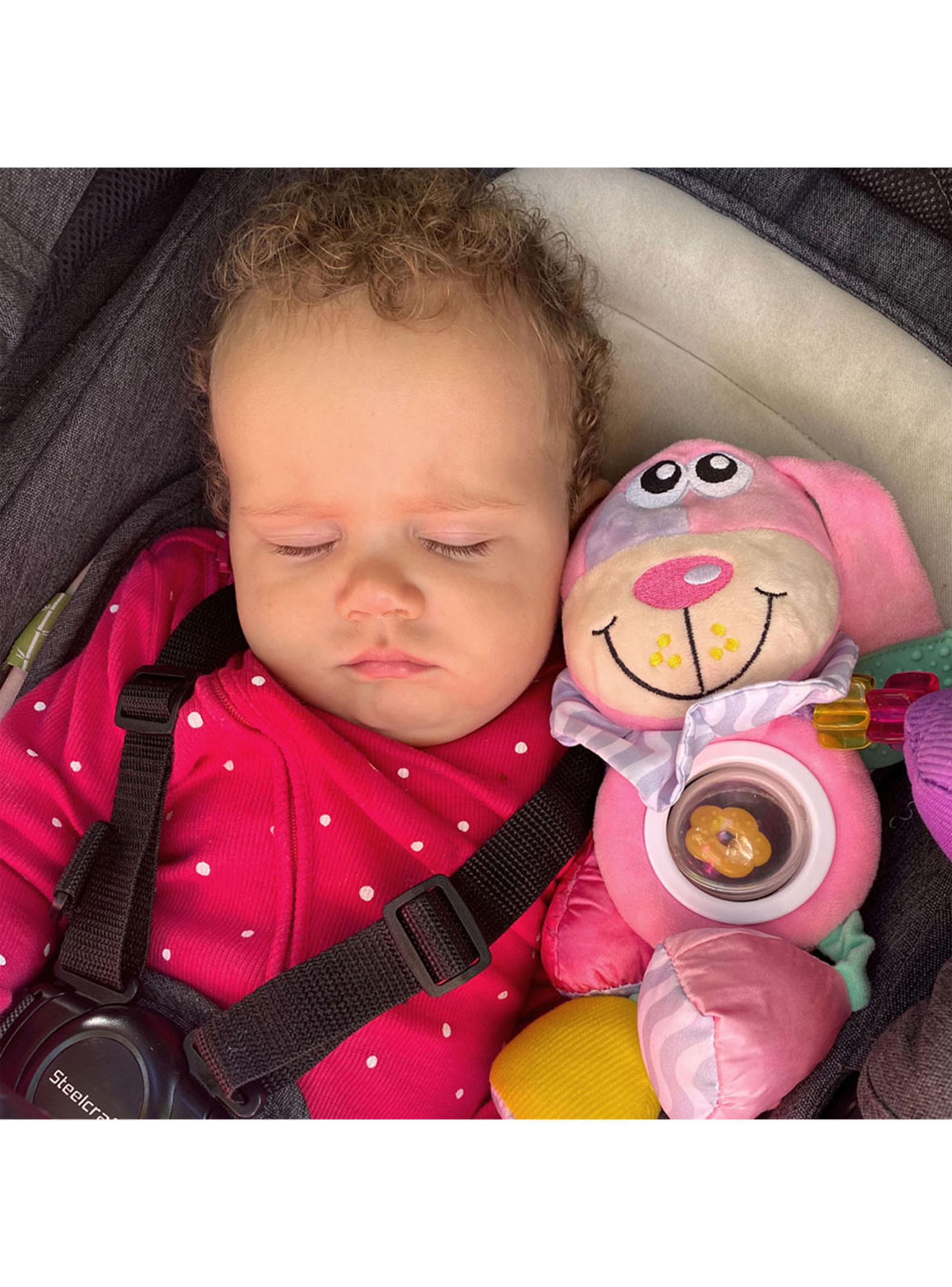 Colgante De Actividad Doofy Dog Rosado-2