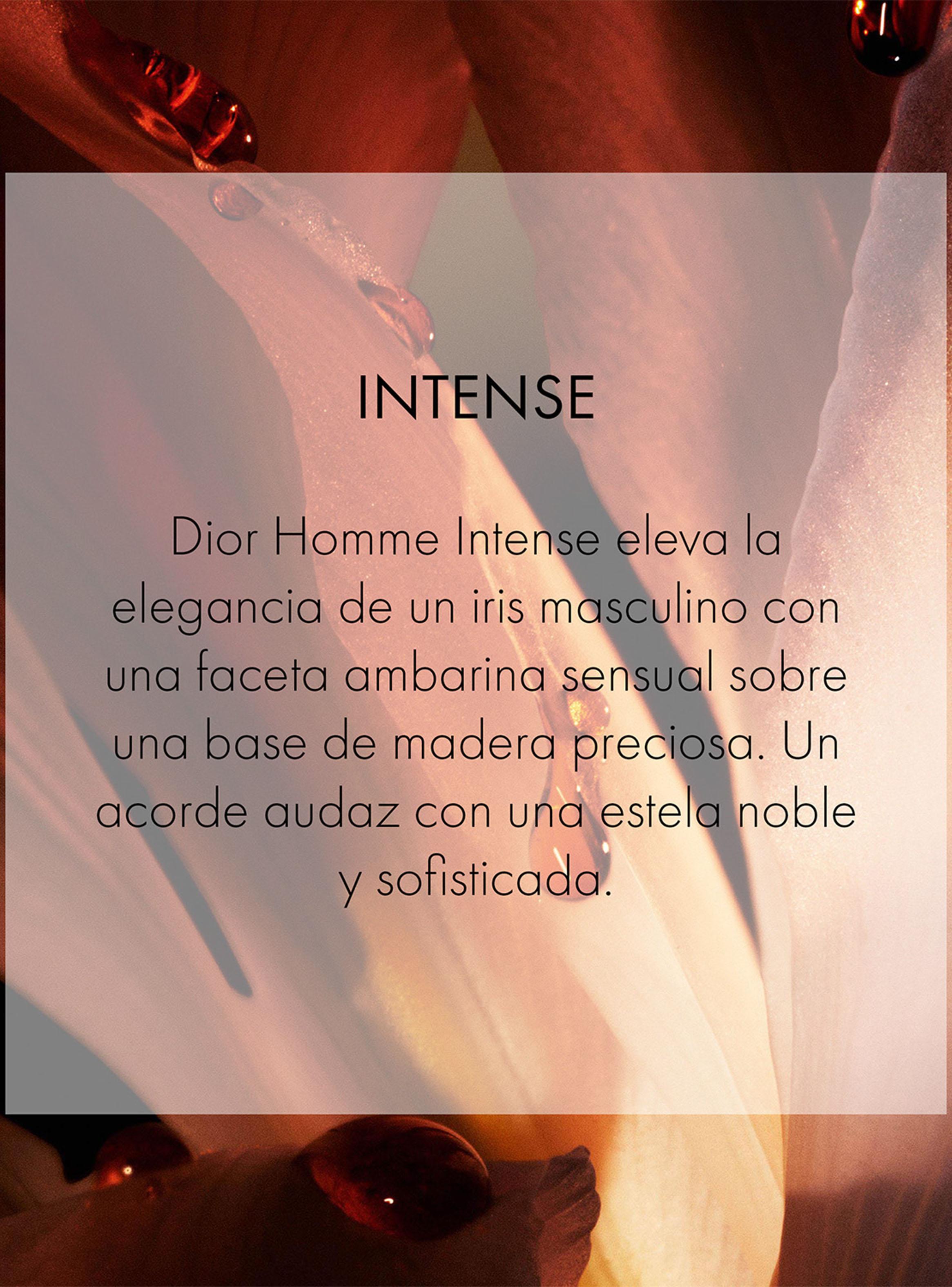 Perfume Homme Intense EDP Hombre 50 ml Dior-3