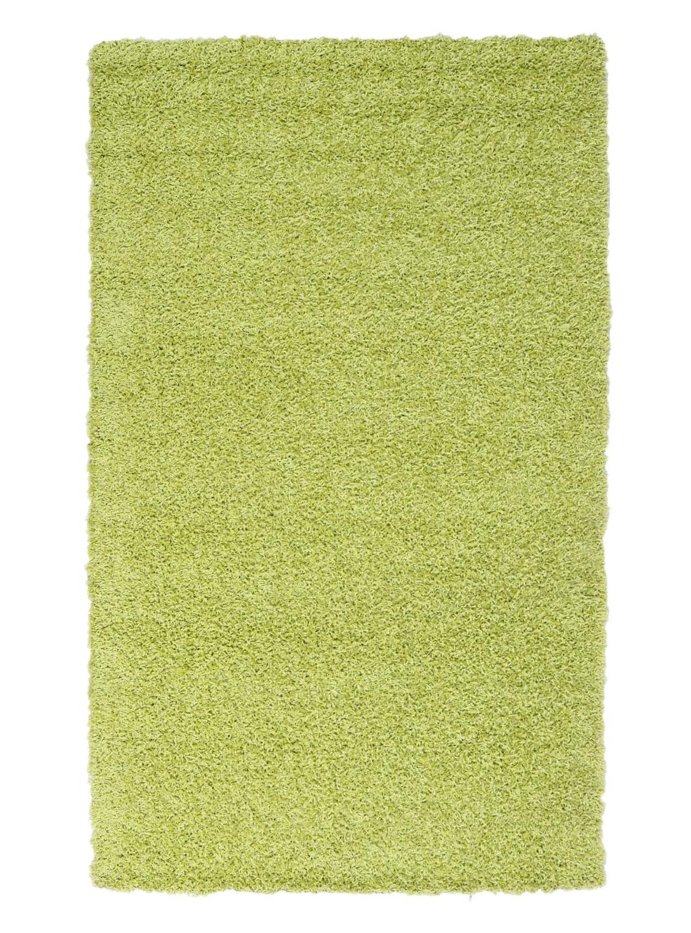 Alfombra Expo Shaggy 120x170 cm-0
