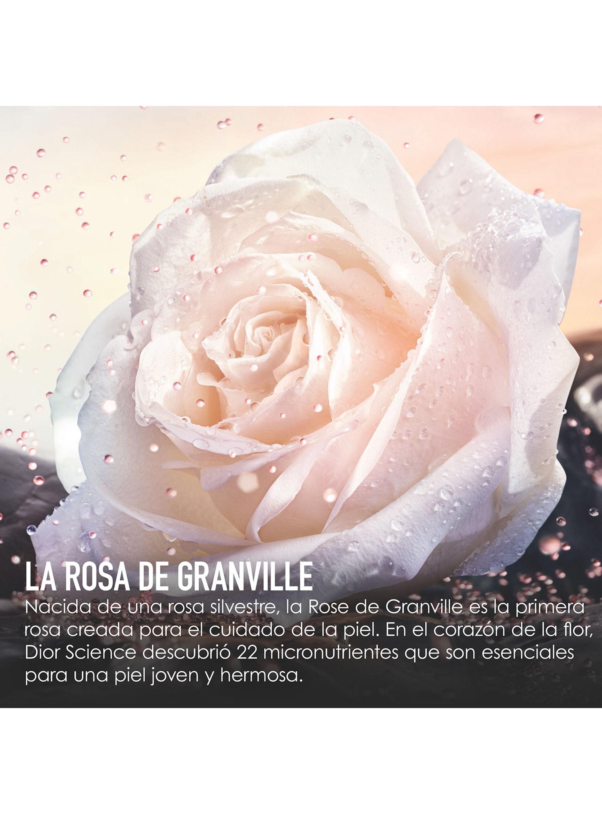 Dior Prestige Le Micro-Serum de Rose Yeux-4