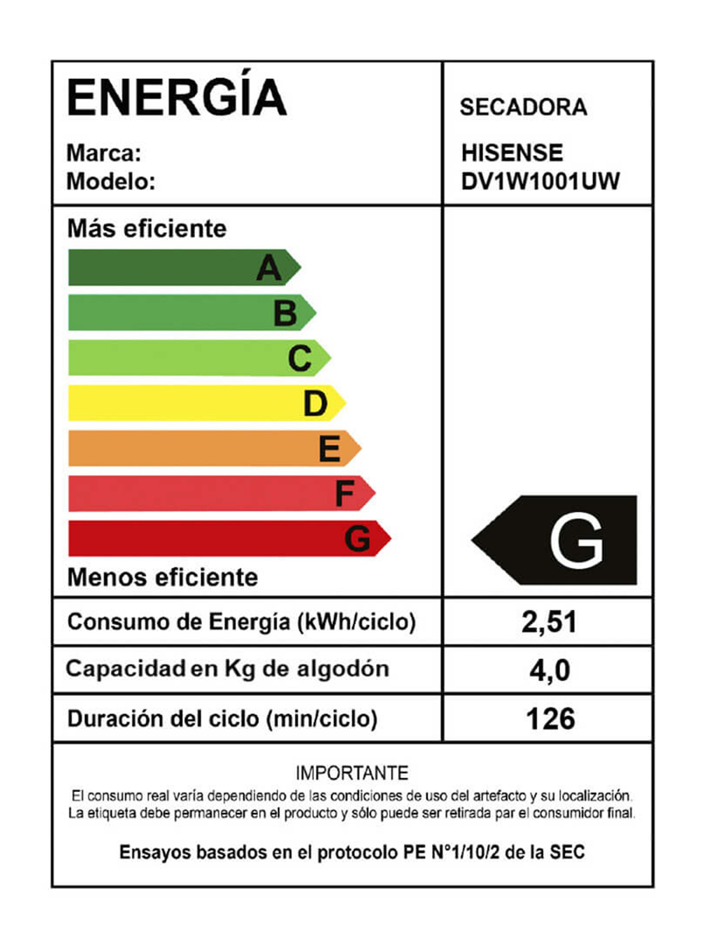 Secadora de Ventilación Carga Frontal 10 Kg DV1W1001UW-11