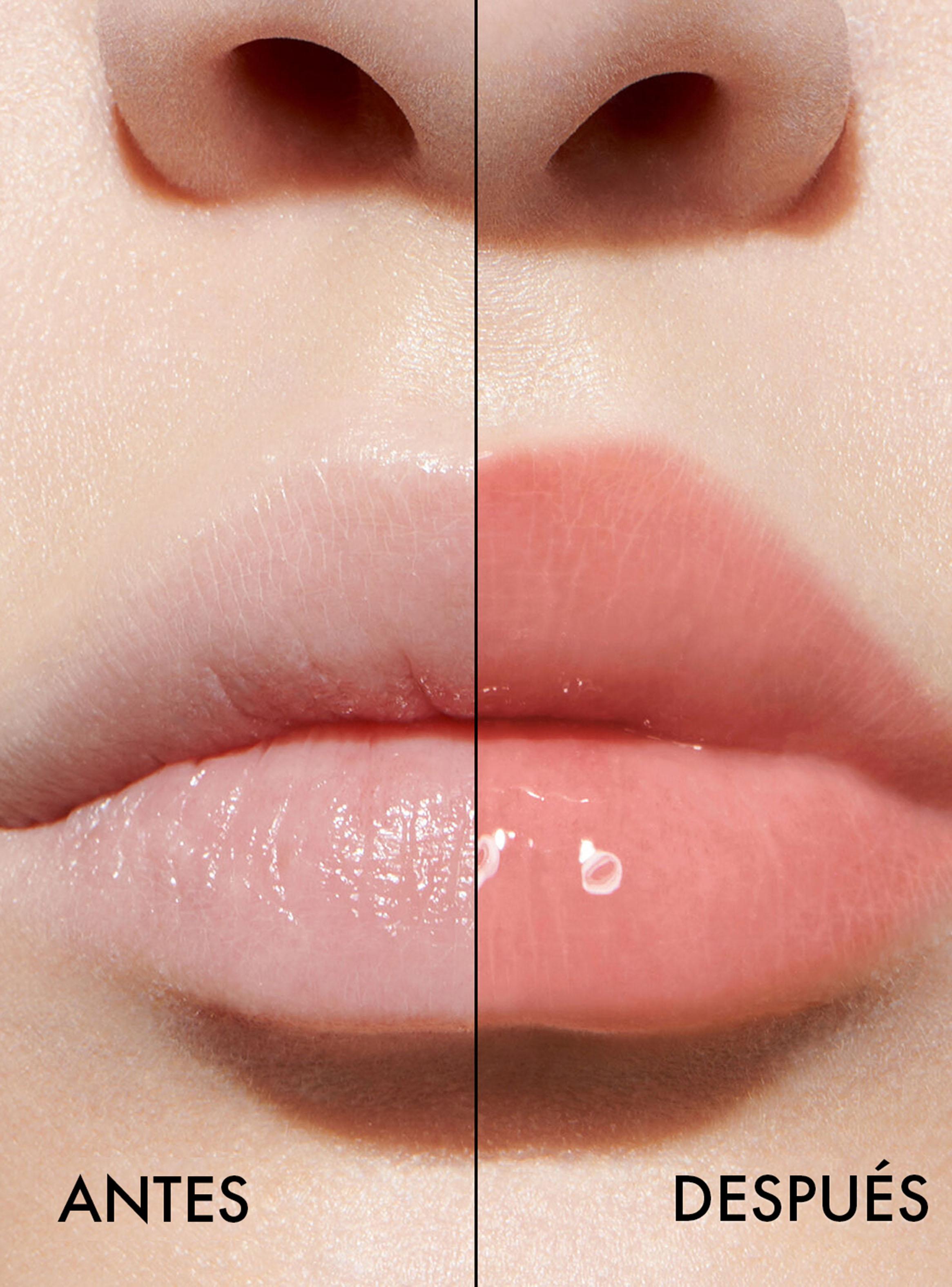 Labial Addict Lip Maximizer 061-3