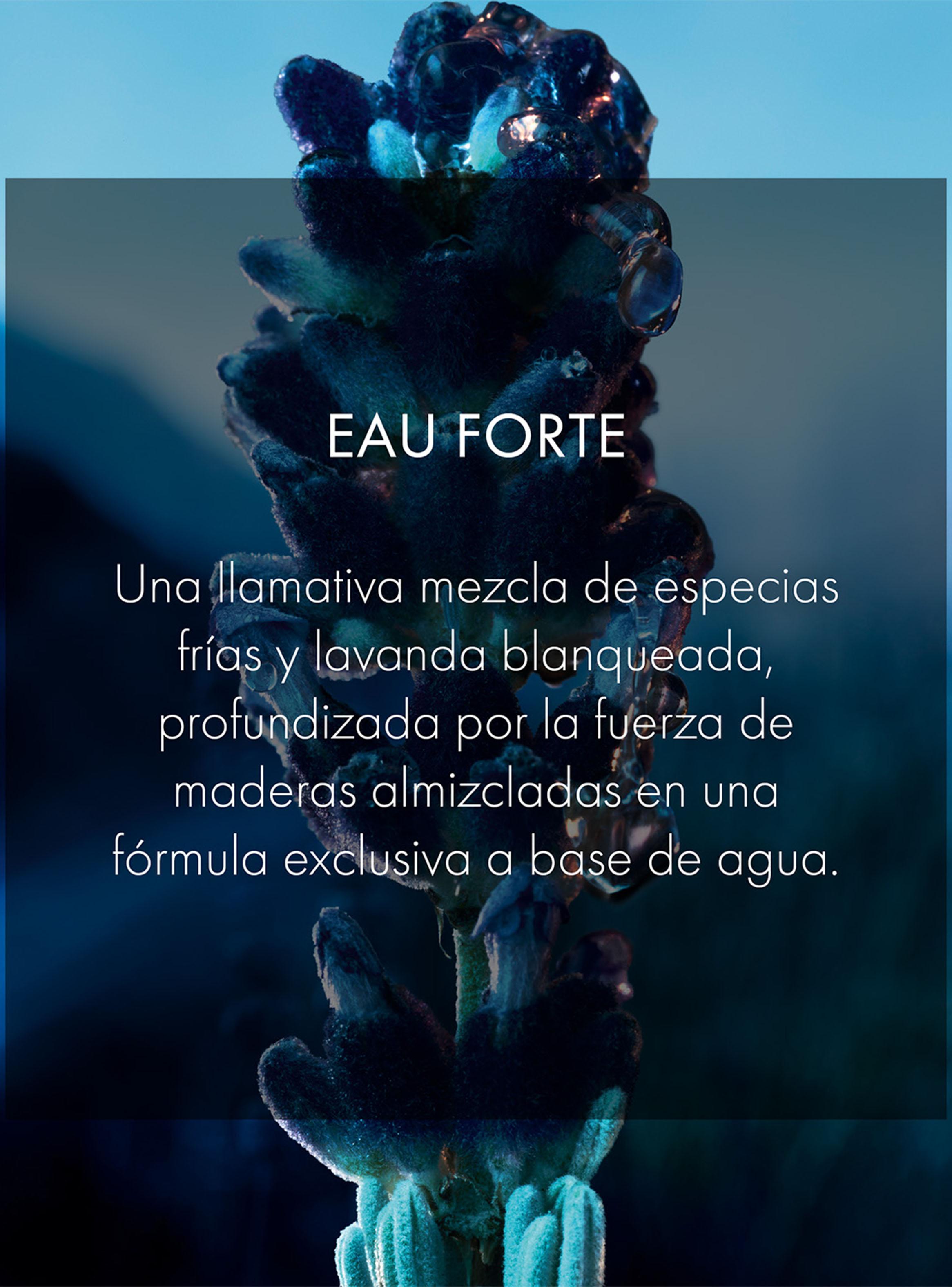 Perfume Sauvage Forte EDP Hombre 100 ml Dior-3