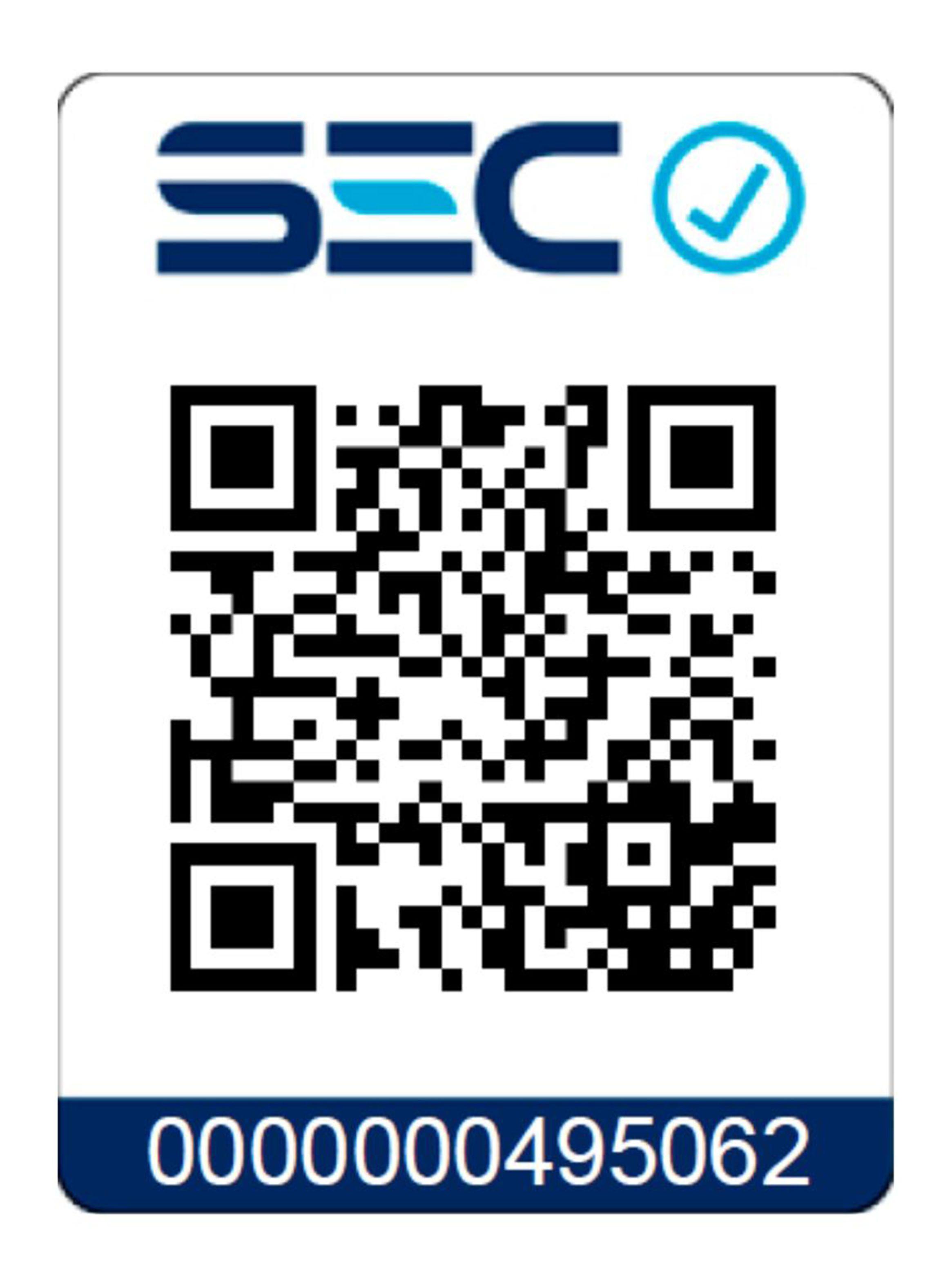 Campana Extraible 60 cm PLR 6320 Inox 2 Motores-4