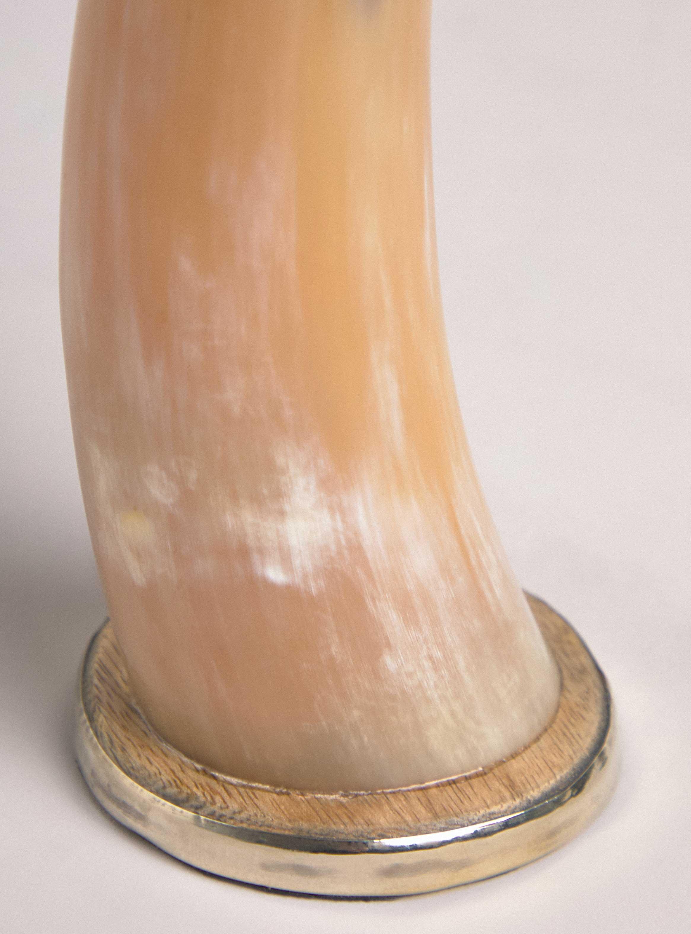 Cuerno Cacho de Búfalo 36 cm-2