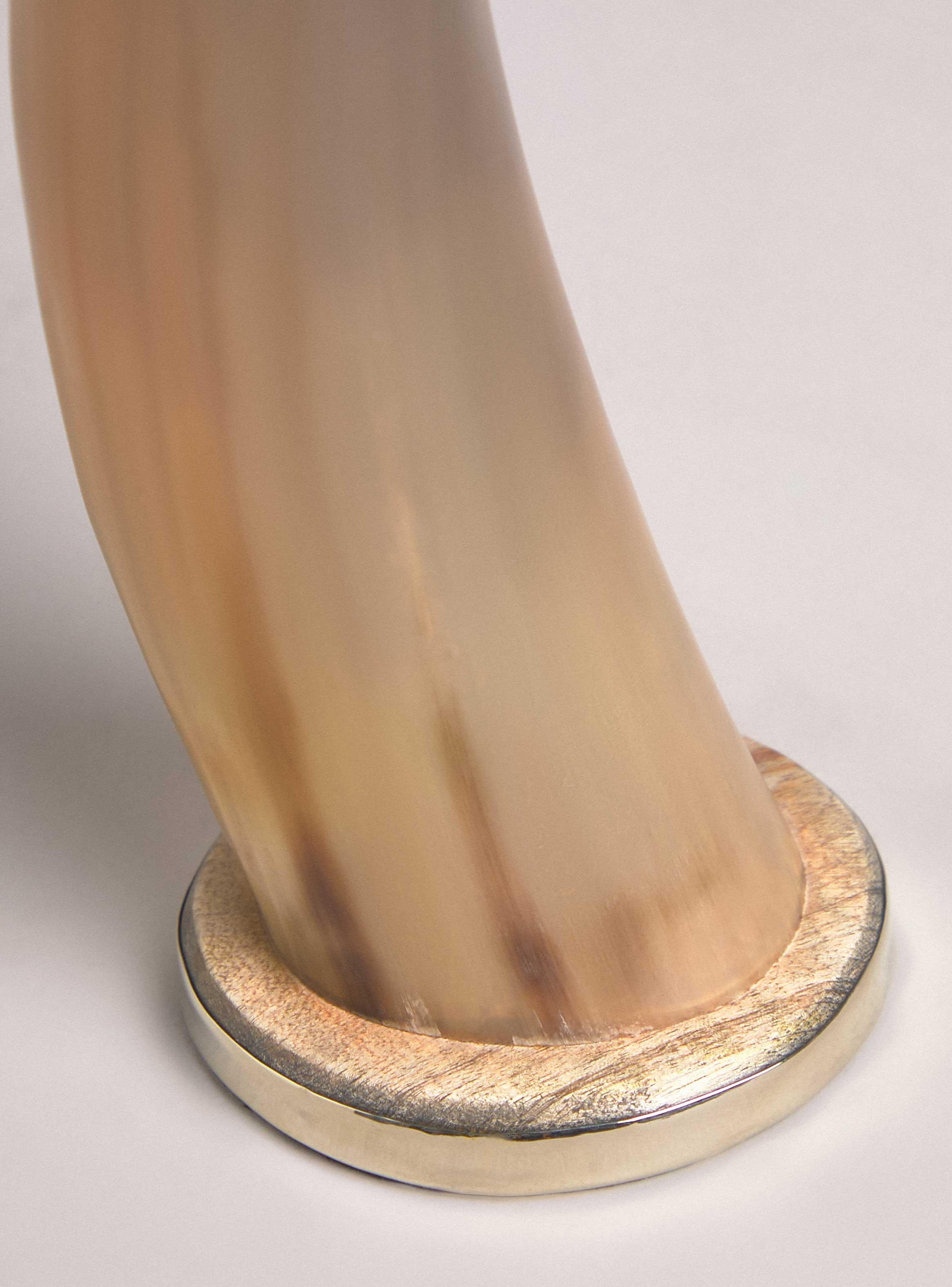 Cuerno Cacho de Búfalo 48 cm-2