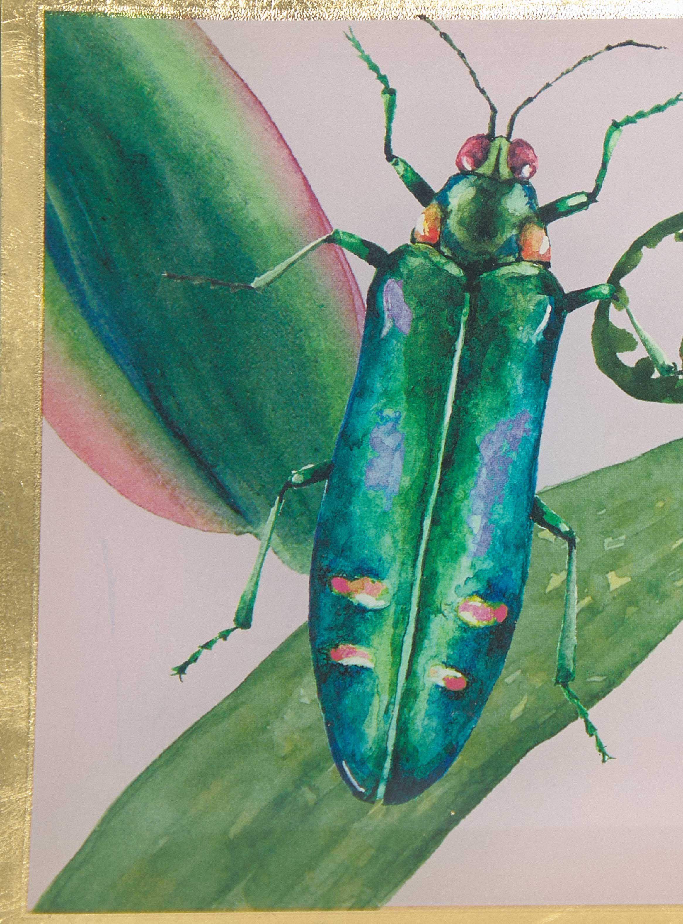 Plato Insecto 13 cm-2