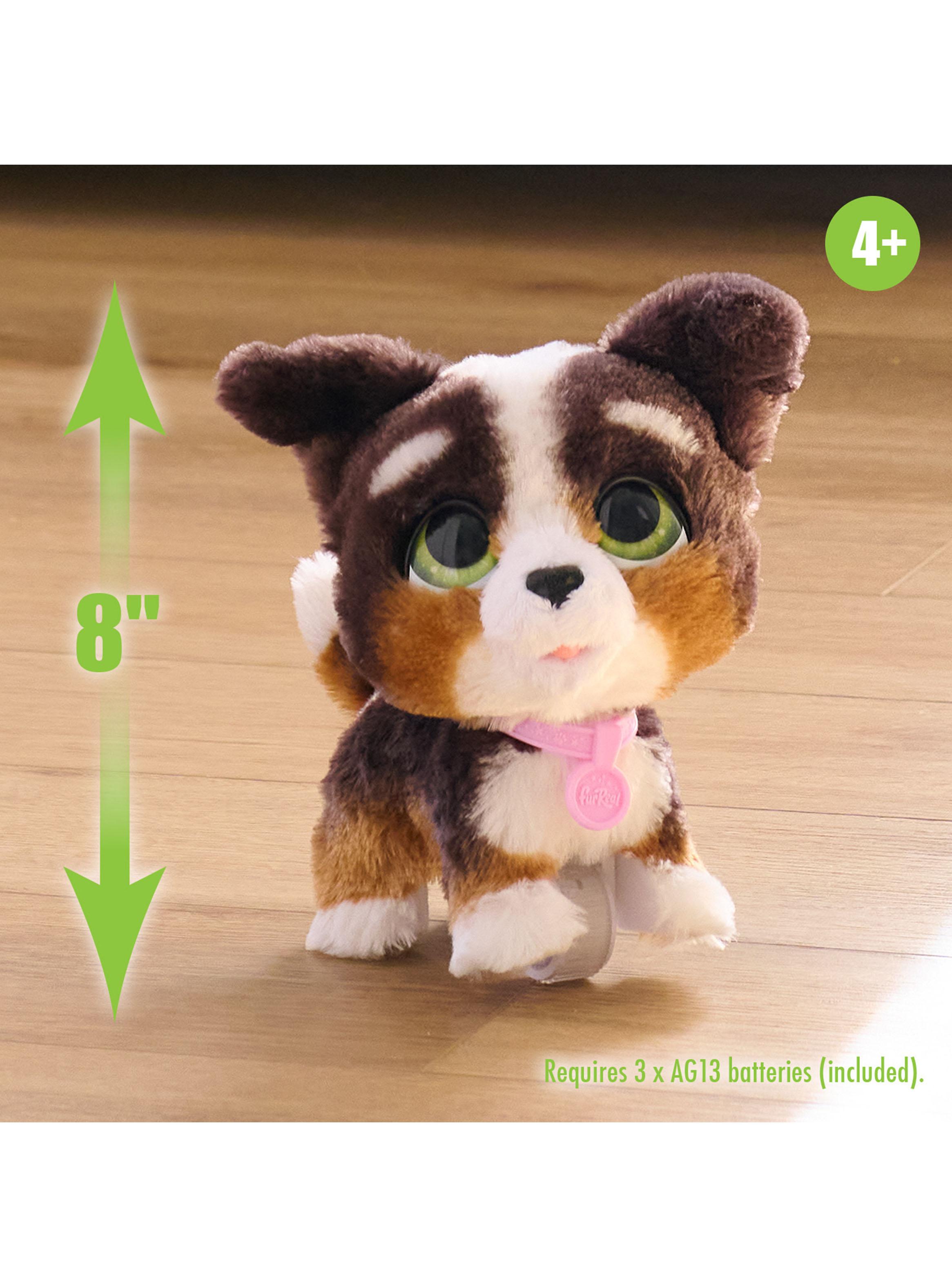 Peluche Walk-A-Lots Bernedoodle-3