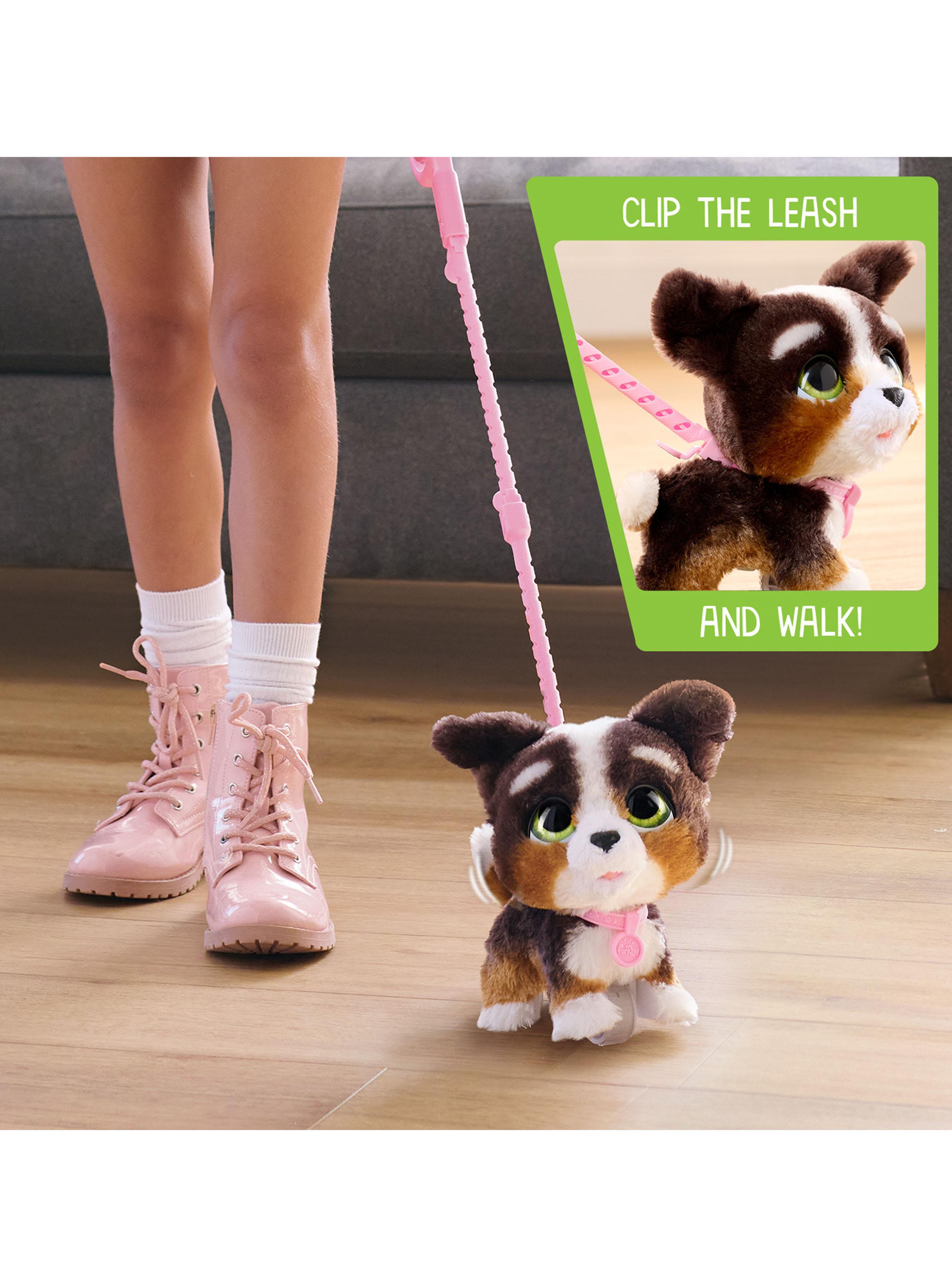 Peluche Walk-A-Lots Bernedoodle-2