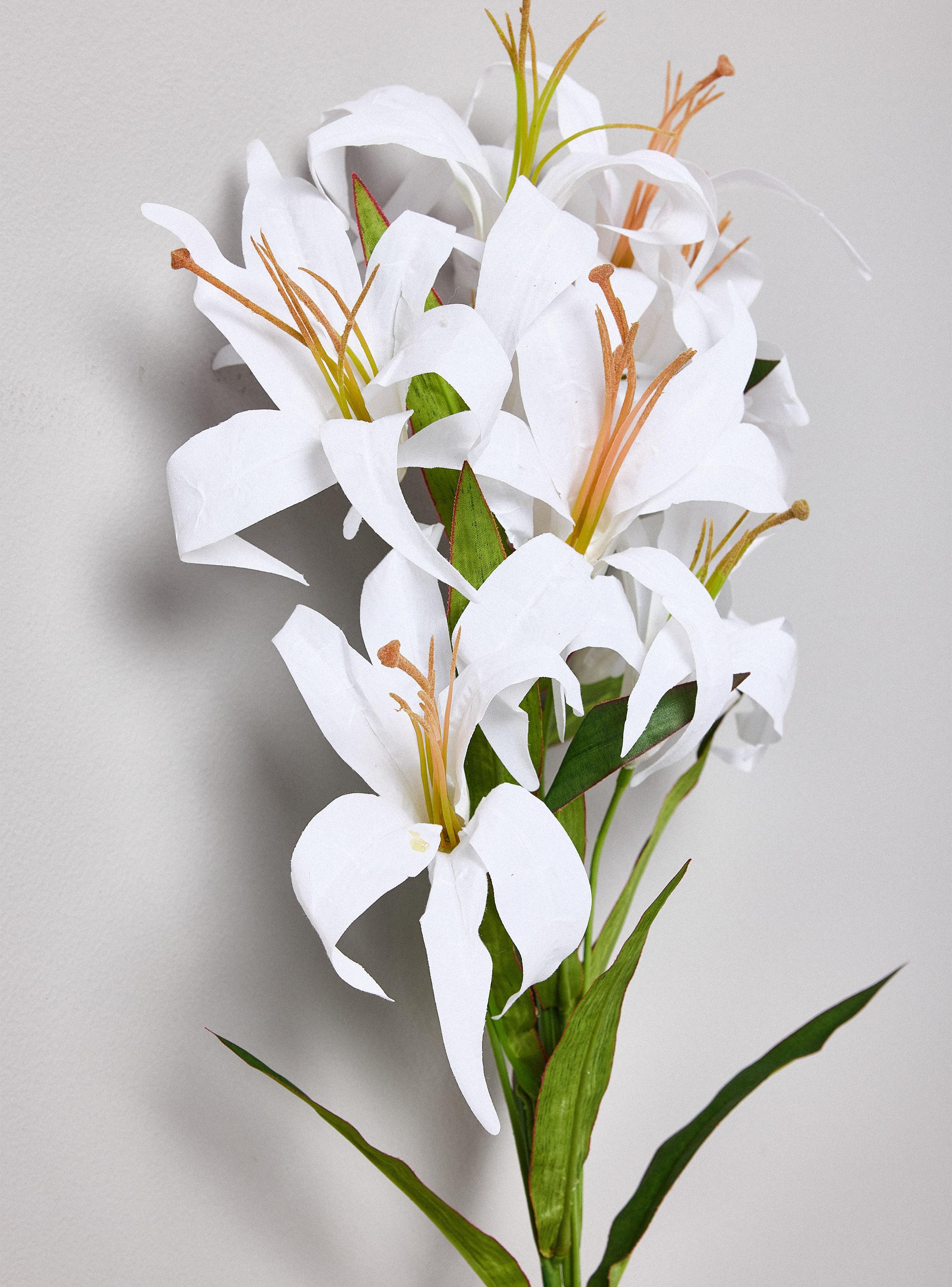 Lilium Blanco 2 Piezas-2
