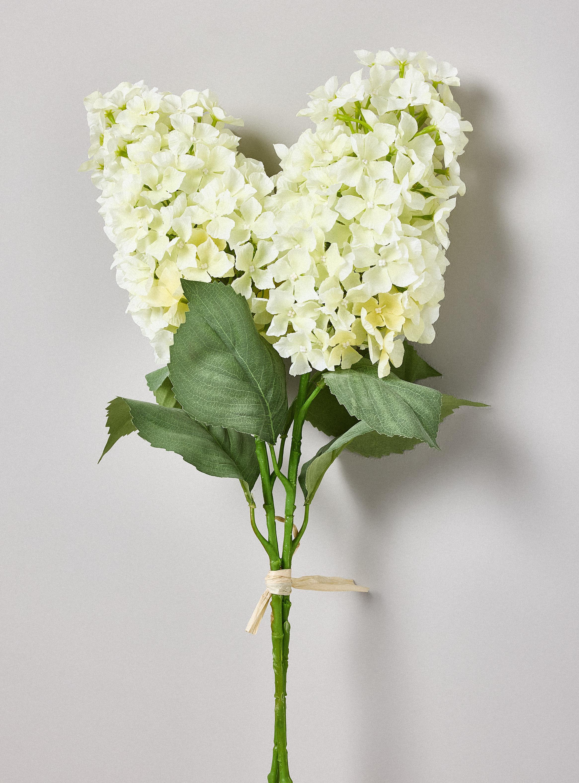 Hortensia Blanco 2 Piezas-1