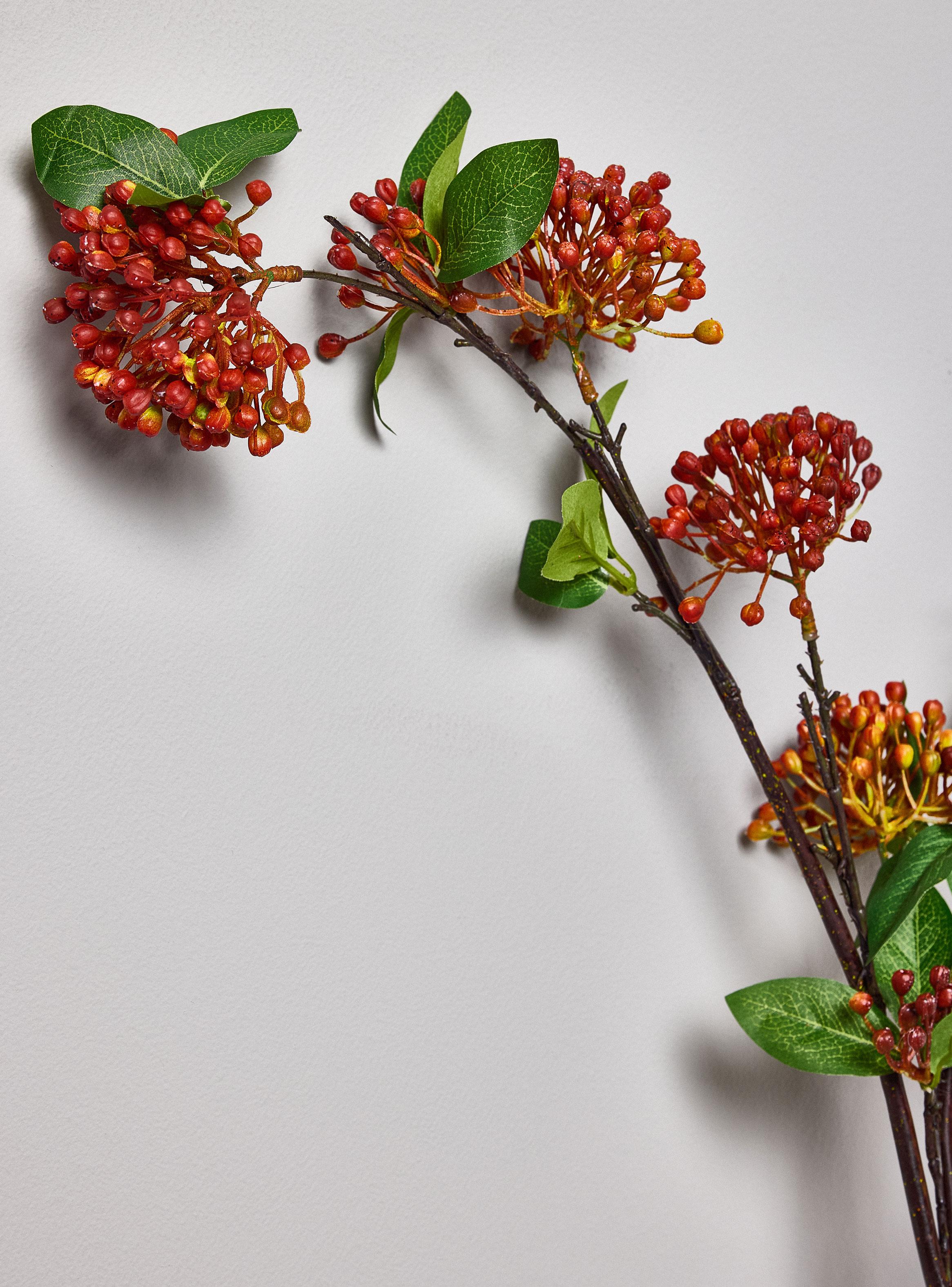Ramas de Berry 2 Piezas-2