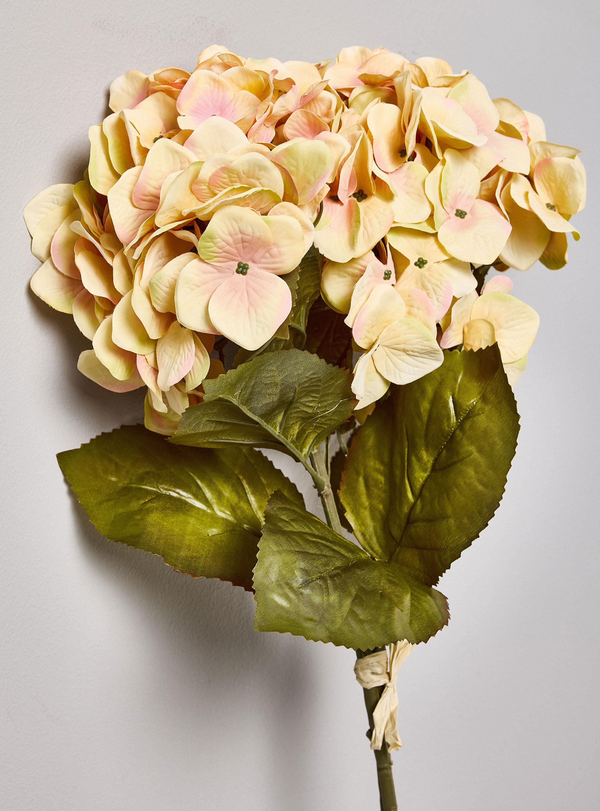 Hortensia Beige 2 Piezas-2