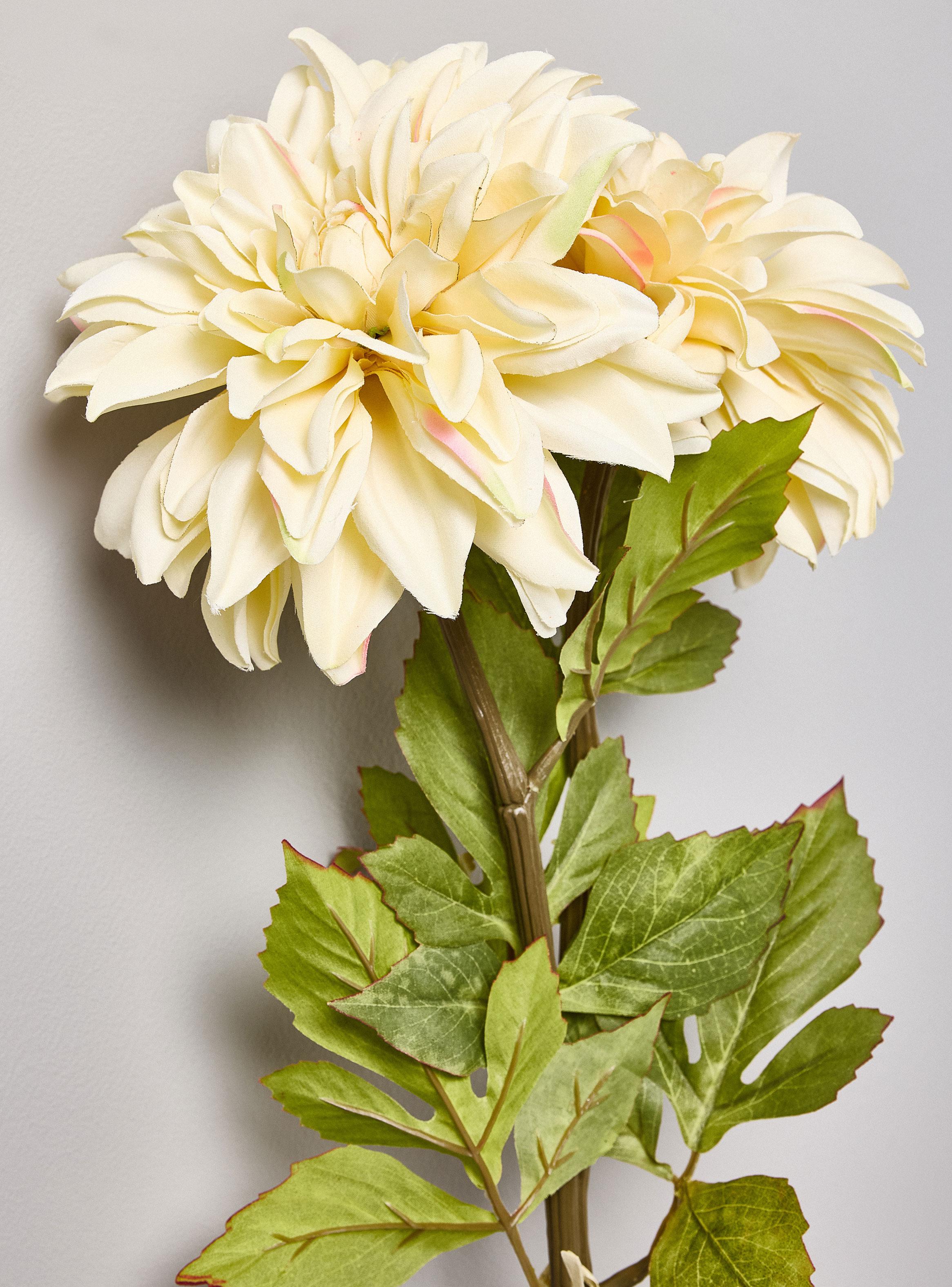 Flor Dalia Crema 2 Piezas-2