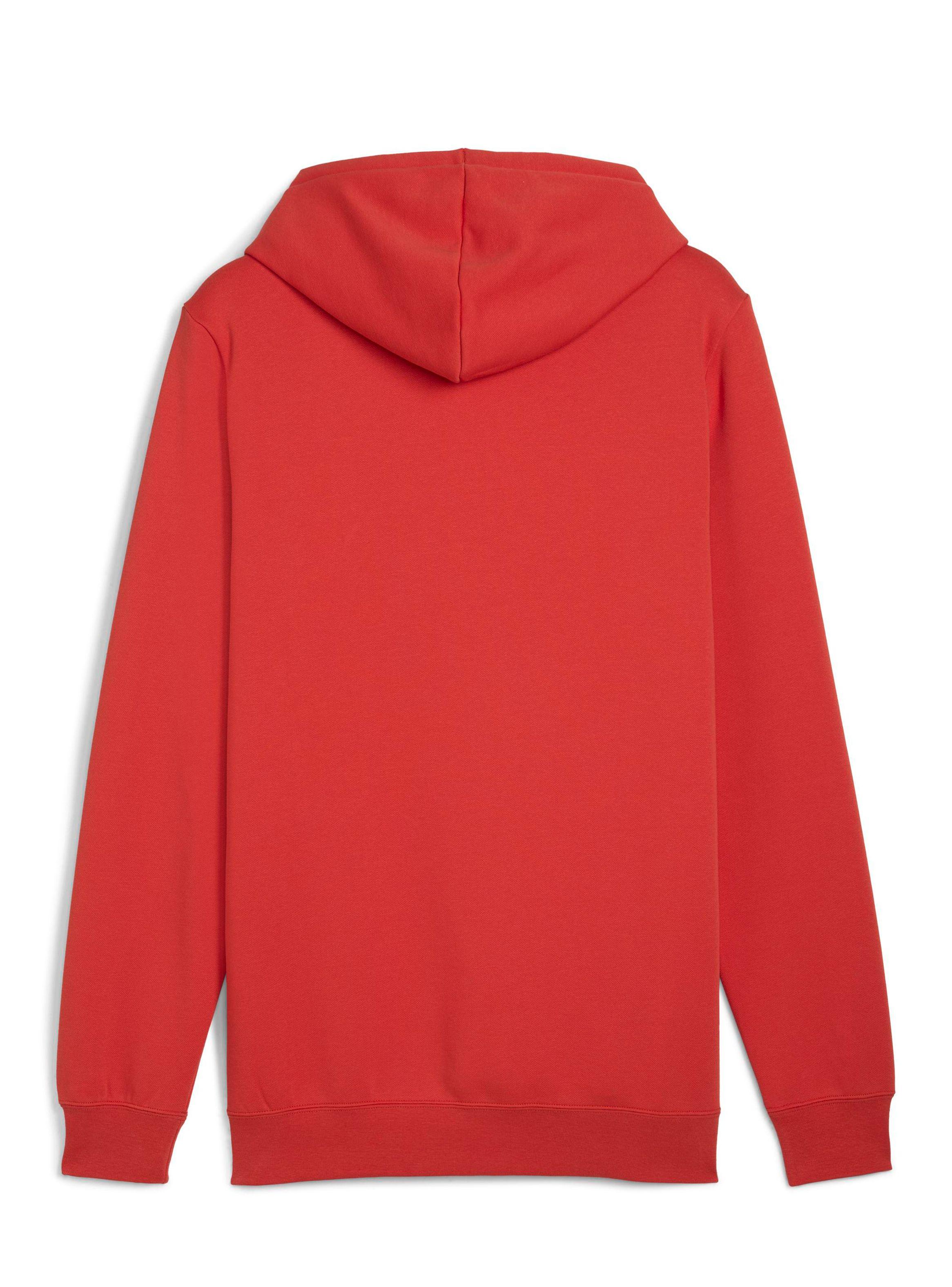 Polerón Ess Logo Lab Hoodie Fl-2
