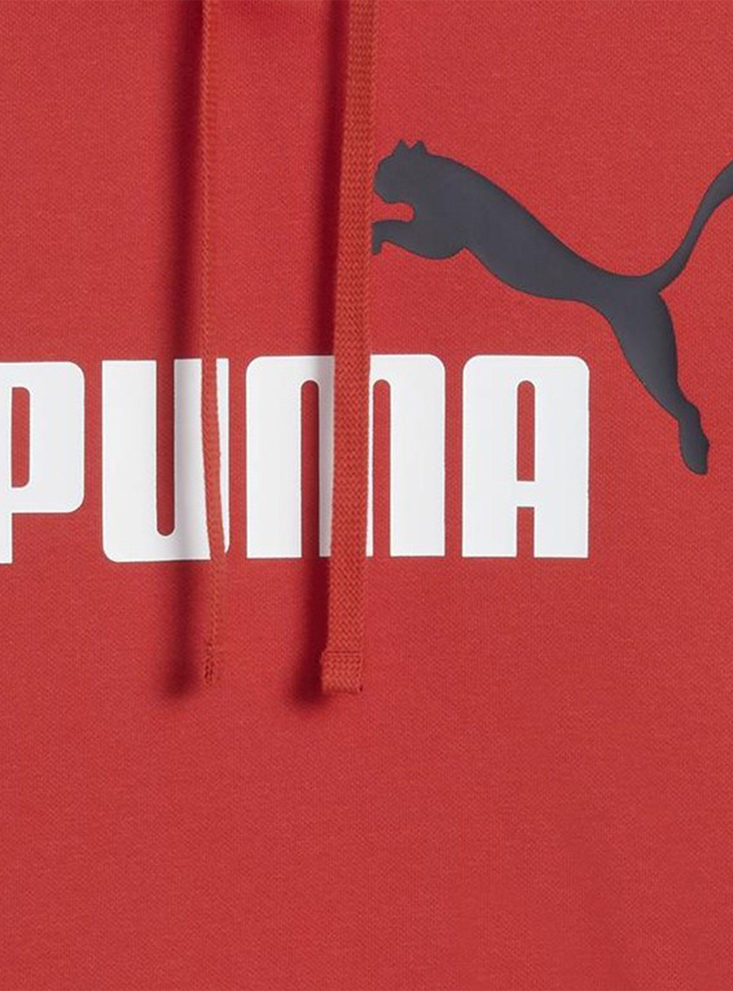 Polerón Logotipo Ess 2 Color No. 1 Hoodie Fl-2